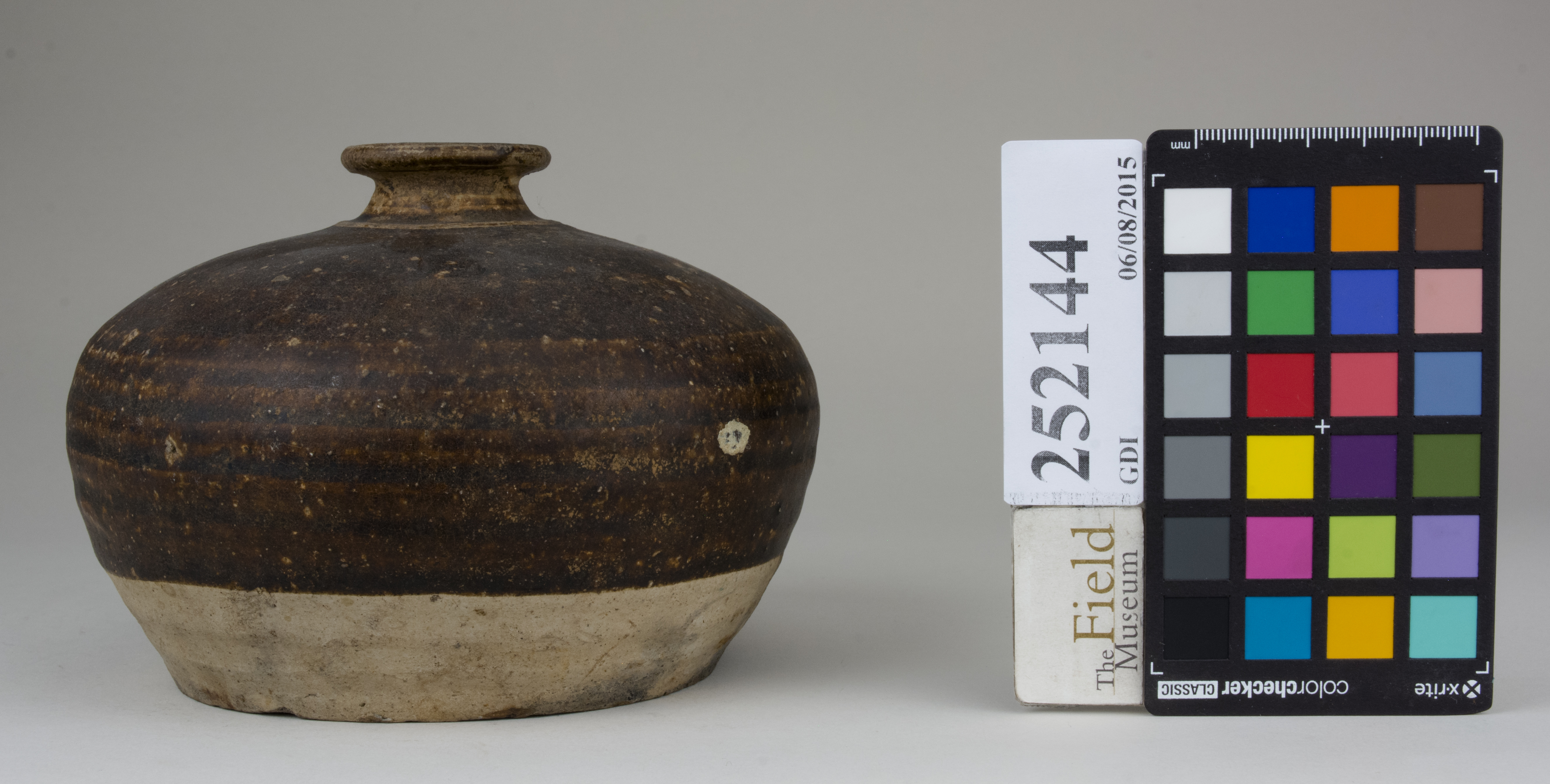 reference image, back (c) Field Museum of Natural History - CC BY-NC 4.0