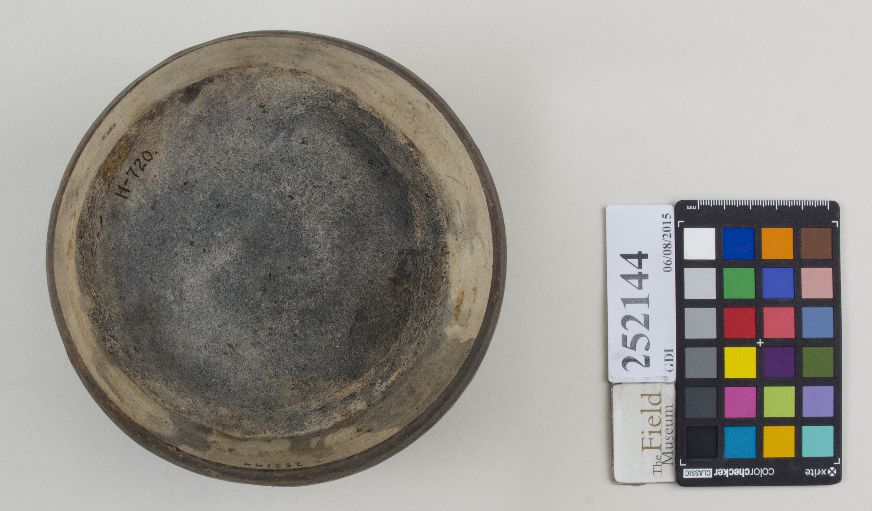 Bottom (c) Field Museum of Natural History - CC BY-NC 4.0