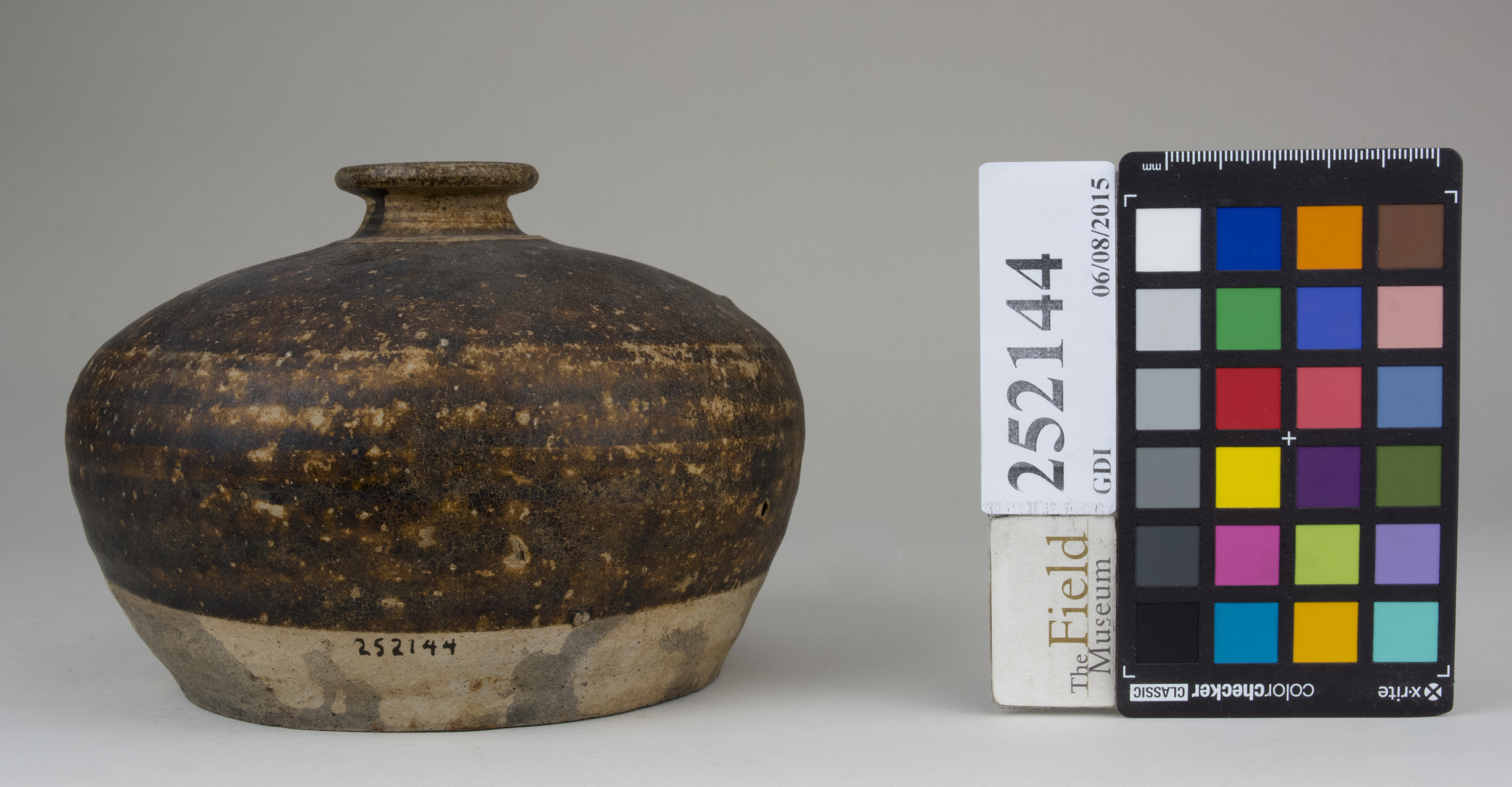 Front (c) Field Museum of Natural History - CC BY-NC 4.0