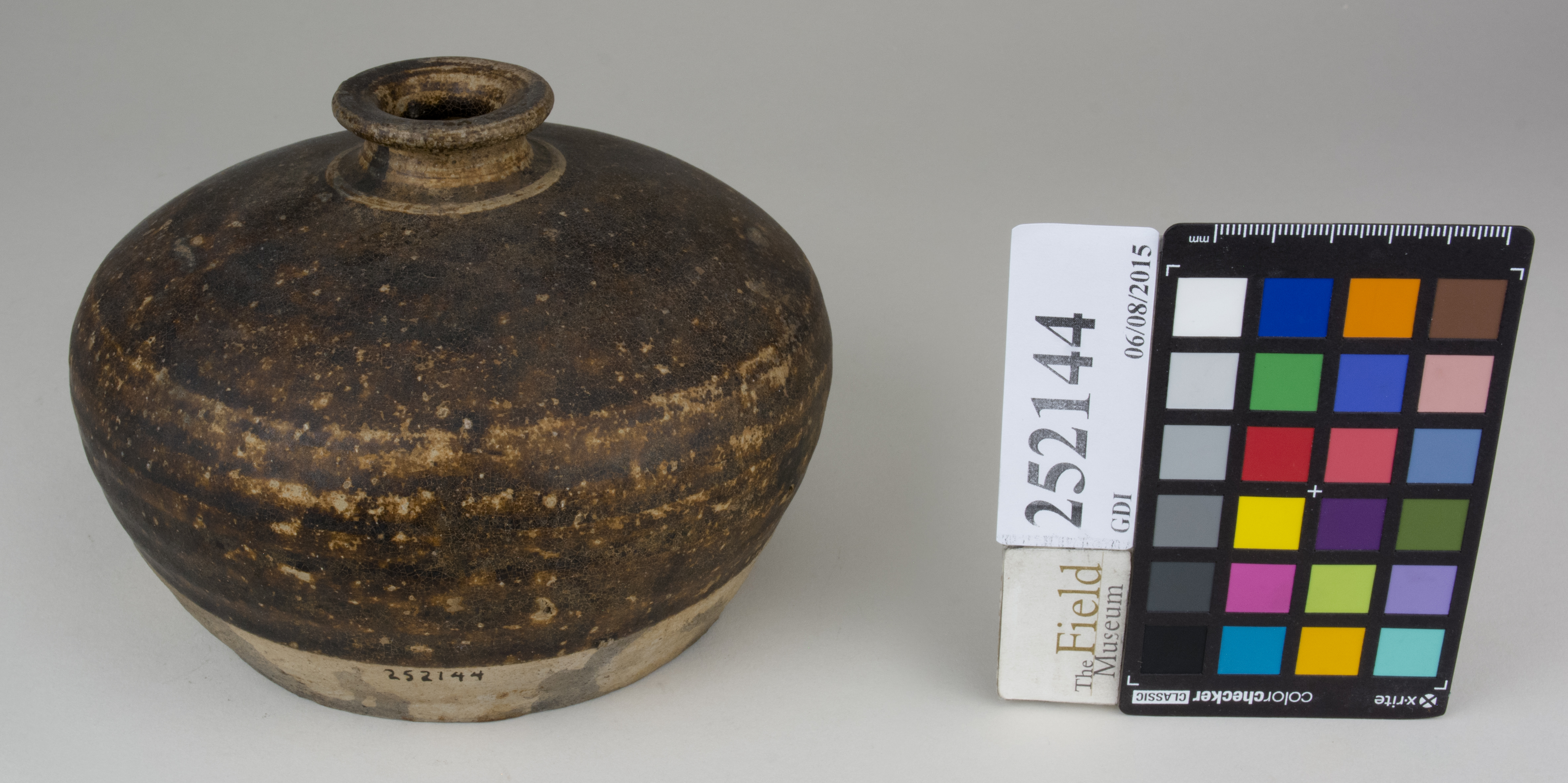 FrontAngle (c) Field Museum of Natural History - CC BY-NC 4.0