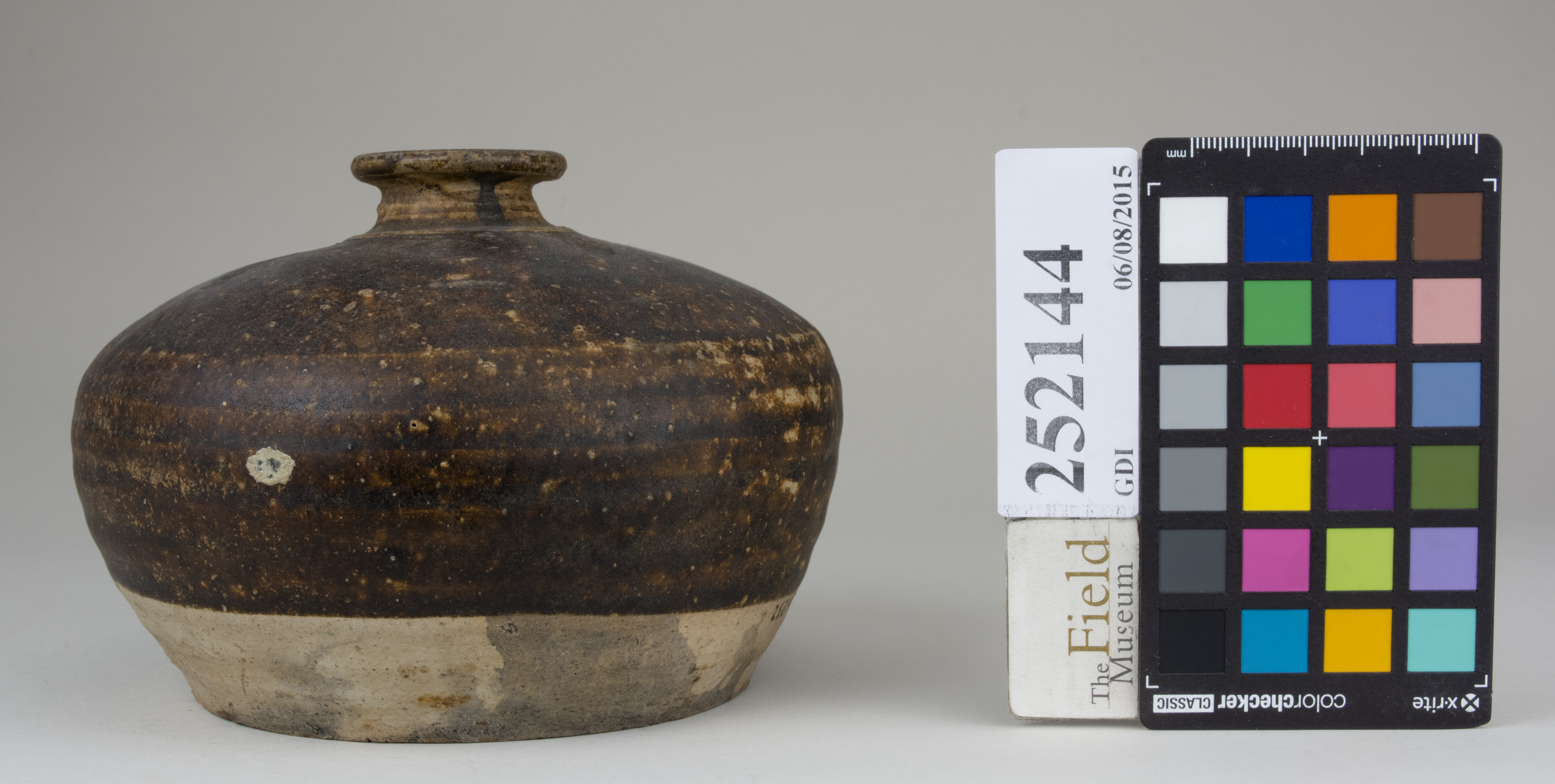 Right (c) Field Museum of Natural History - CC BY-NC 4.0