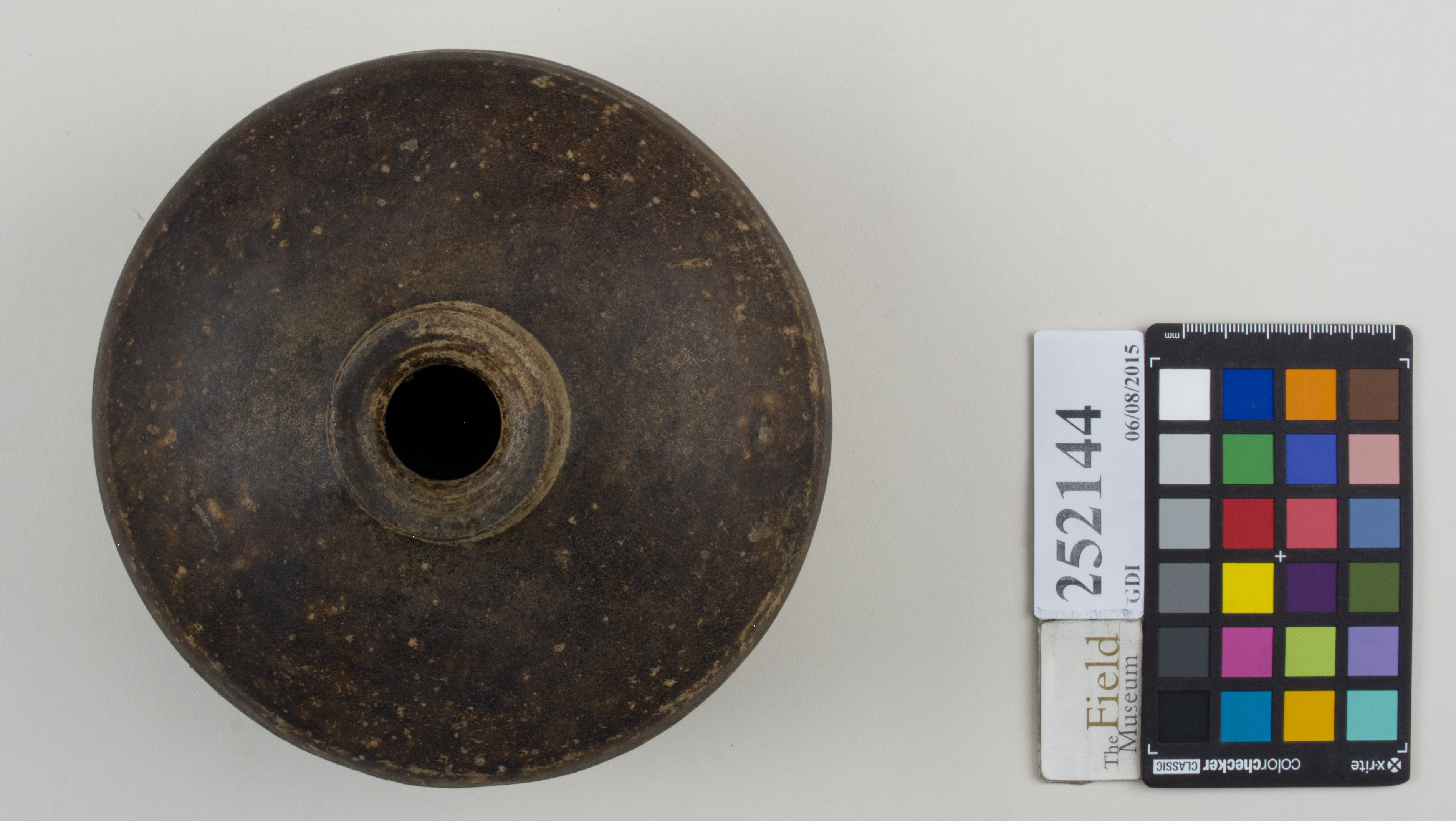 Top (c) Field Museum of Natural History - CC BY-NC 4.0