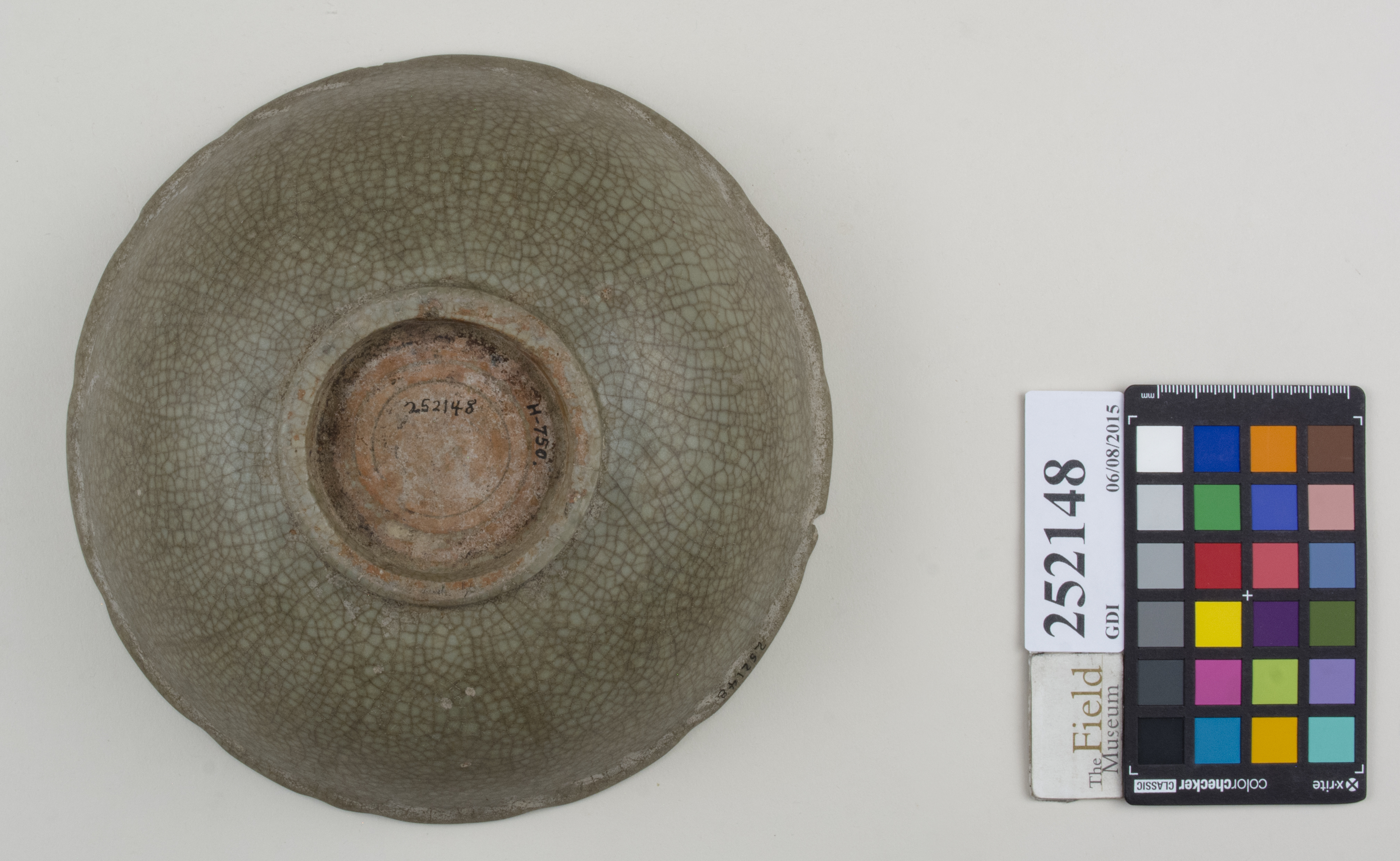 Bottom (c) Field Museum of Natural History - CC BY-NC 4.0