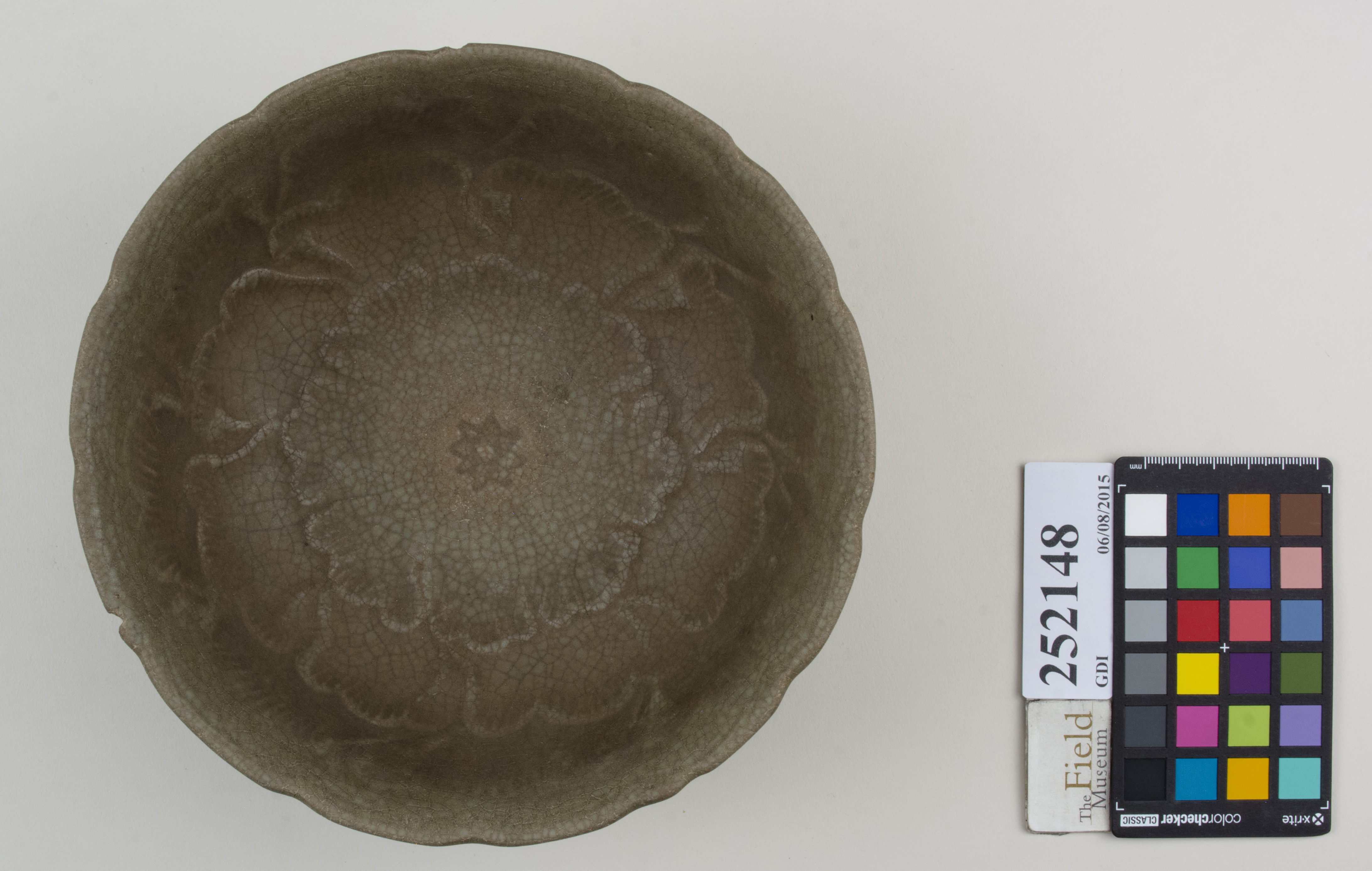 Top (c) Field Museum of Natural History - CC BY-NC 4.0