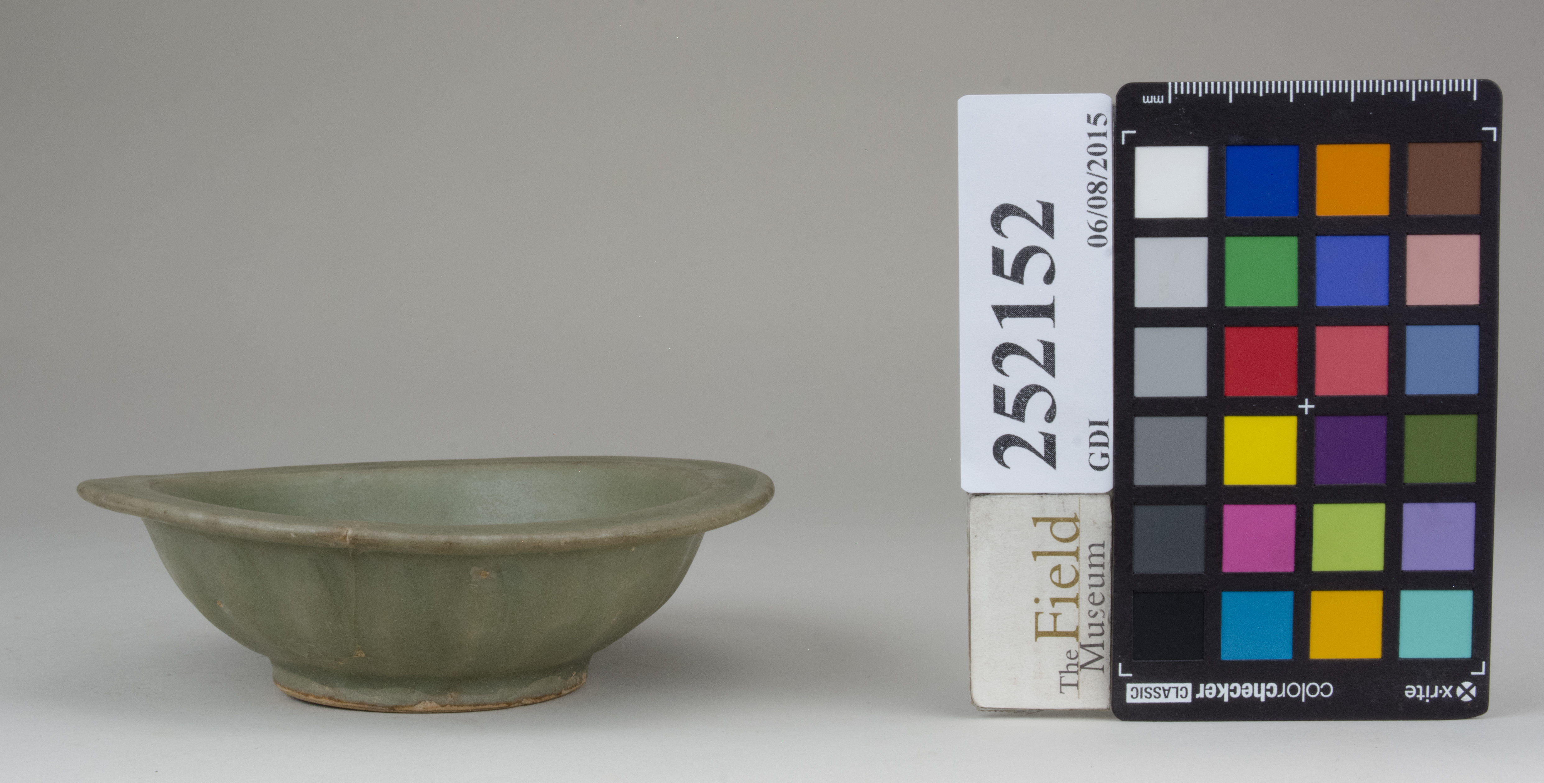 reference image, back (c) Field Museum of Natural History - CC BY-NC 4.0