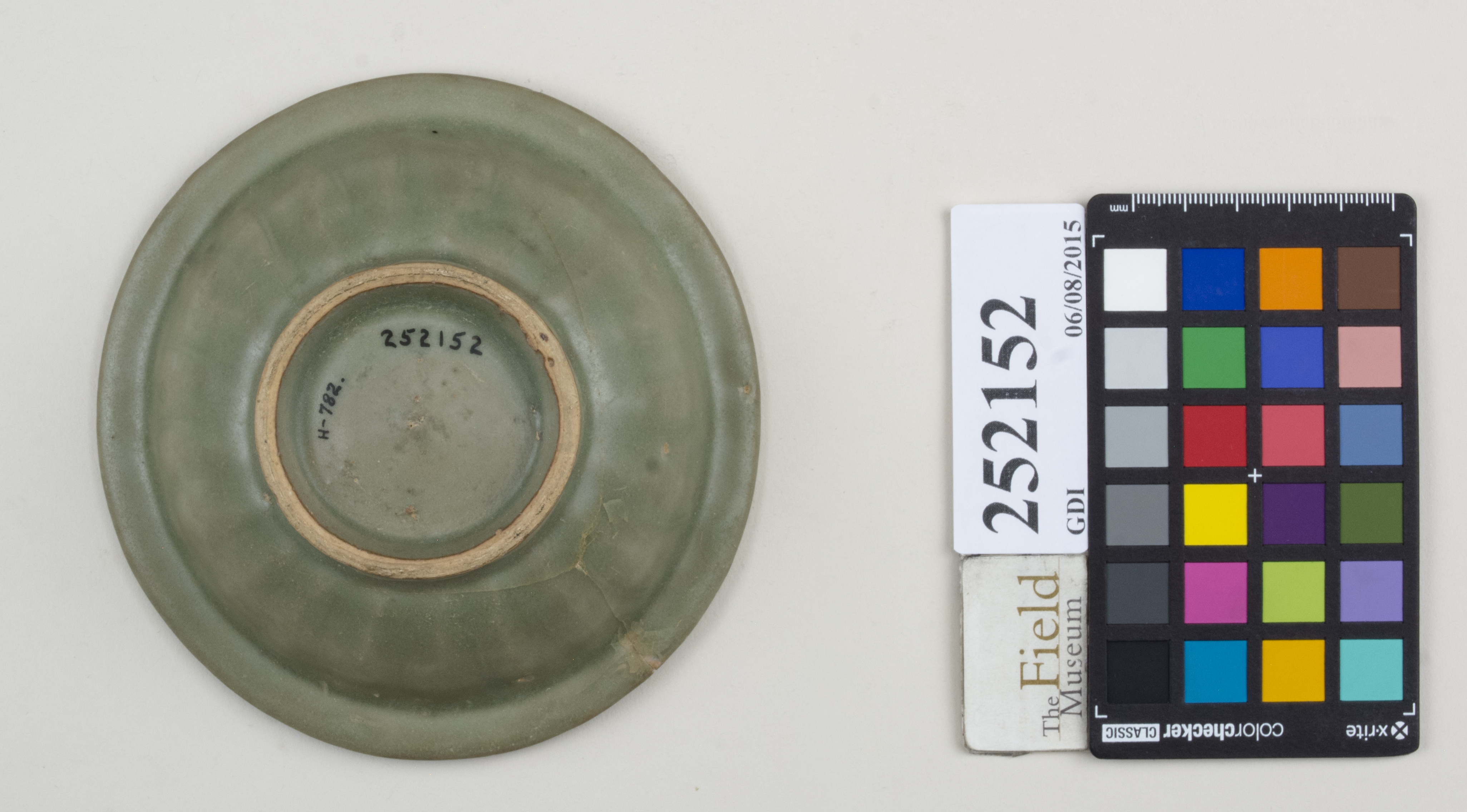 Bottom (c) Field Museum of Natural History - CC BY-NC 4.0