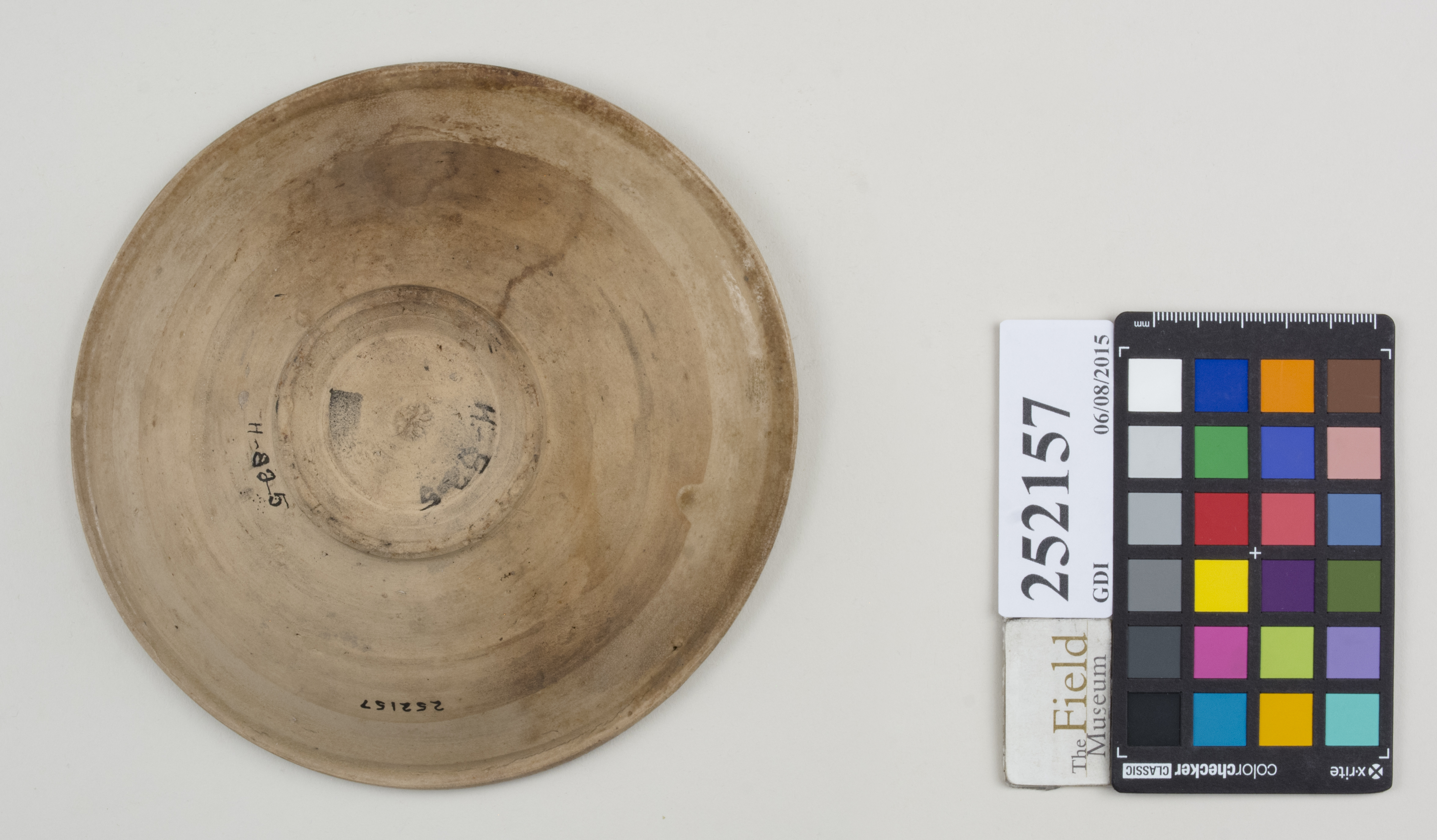 Bottom (c) Field Museum of Natural History - CC BY-NC 4.0