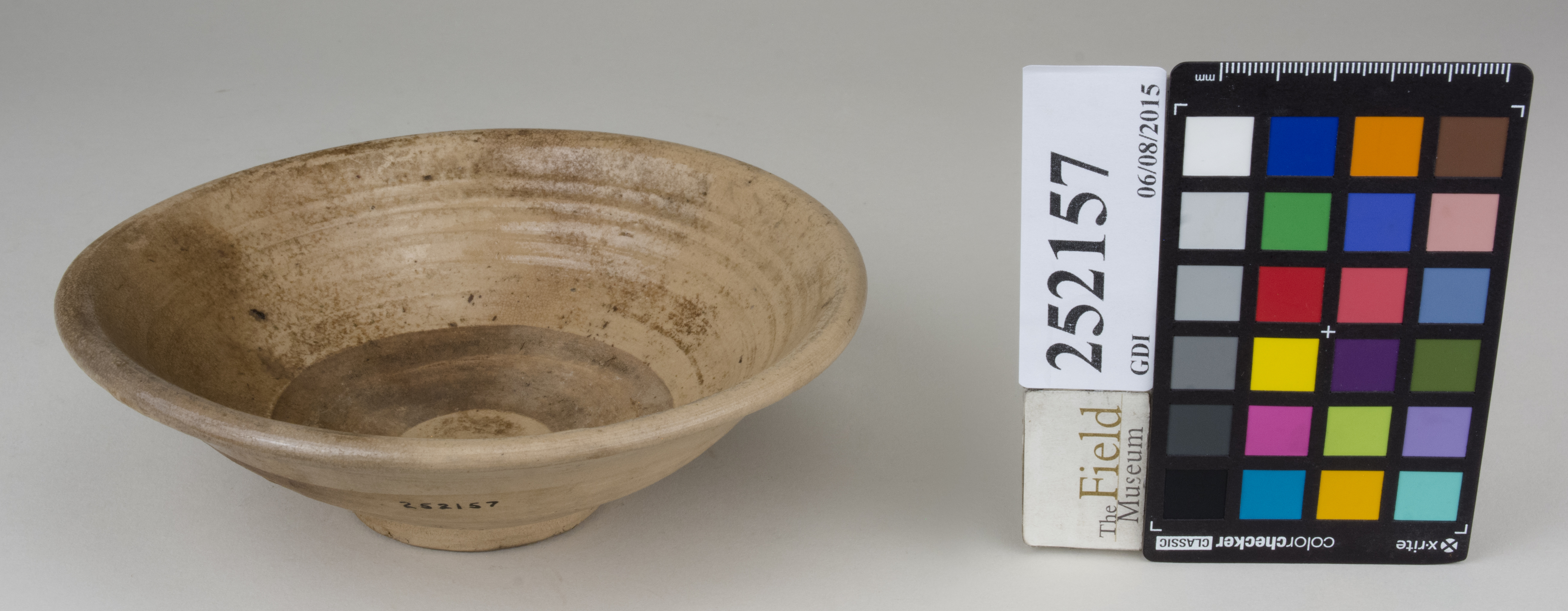 FrontAngle (c) Field Museum of Natural History - CC BY-NC 4.0