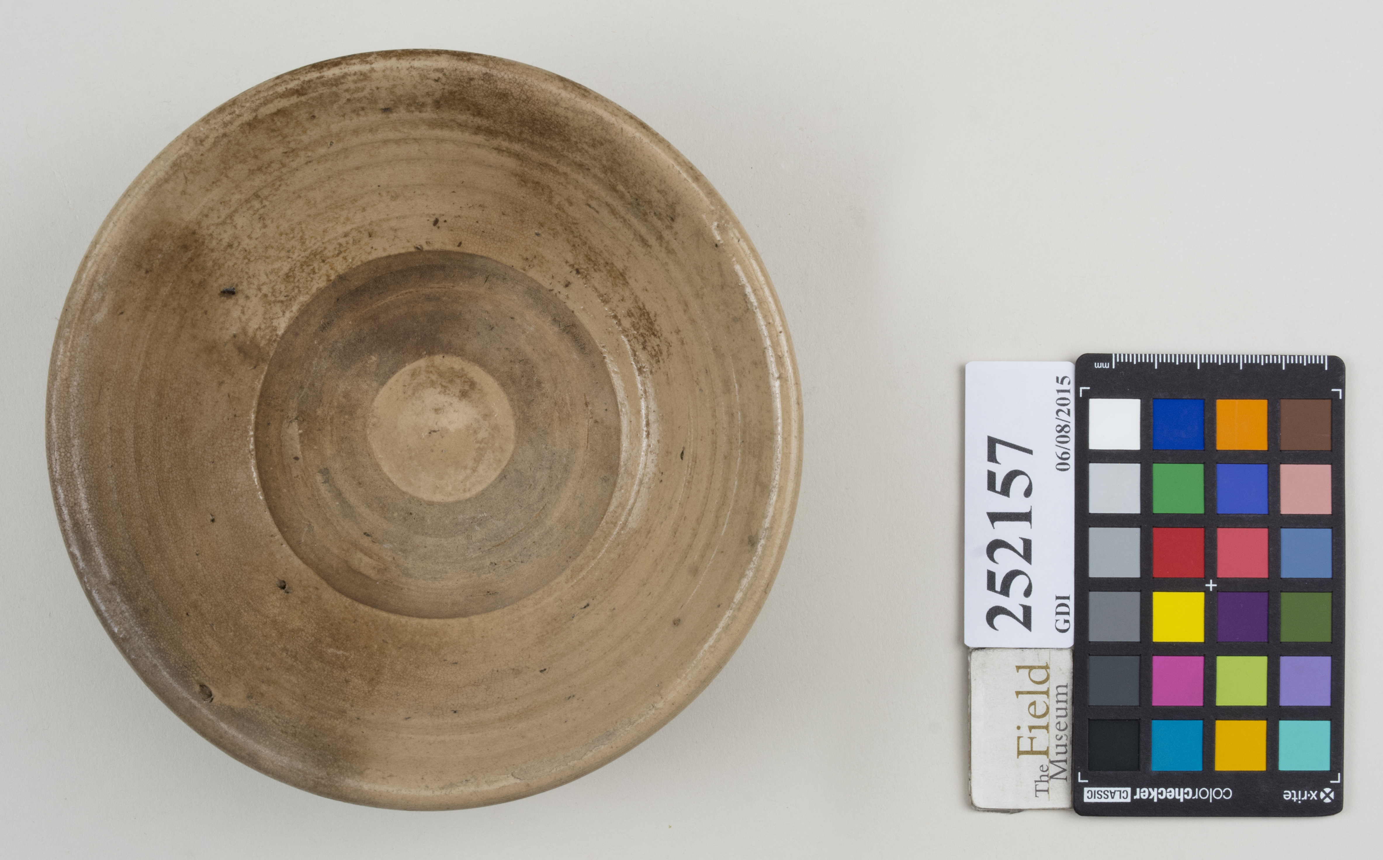 Top (c) Field Museum of Natural History - CC BY-NC 4.0