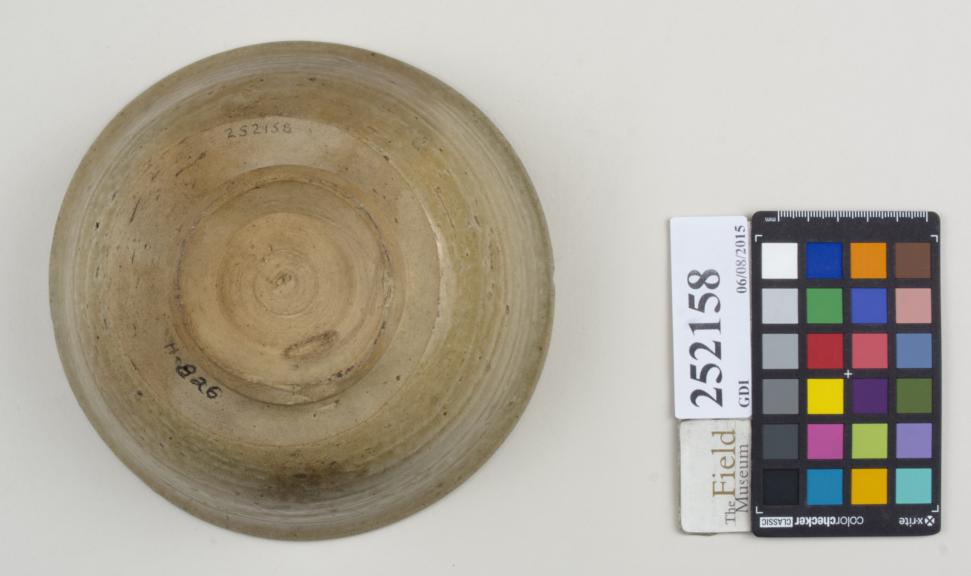 Bottom (c) Field Museum of Natural History - CC BY-NC 4.0