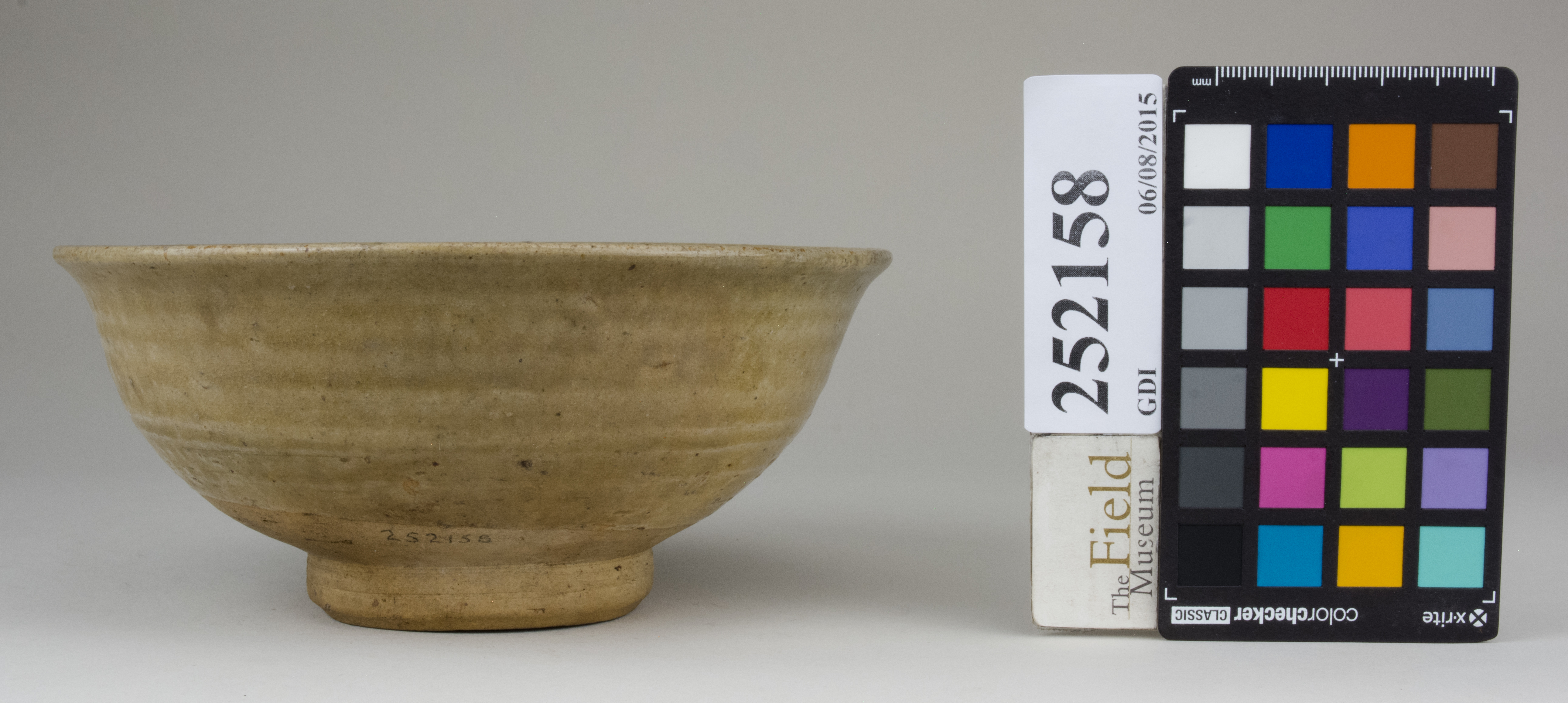 Front (c) Field Museum of Natural History - CC BY-NC 4.0