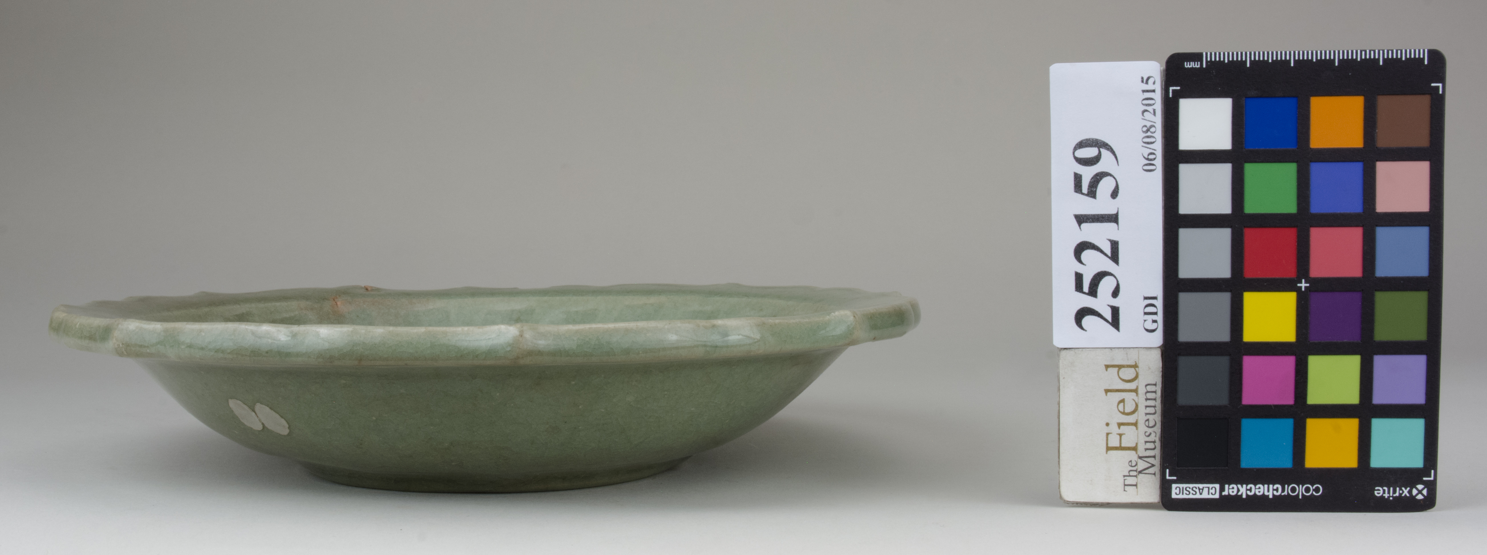 reference image, back (c) Field Museum of Natural History - CC BY-NC 4.0