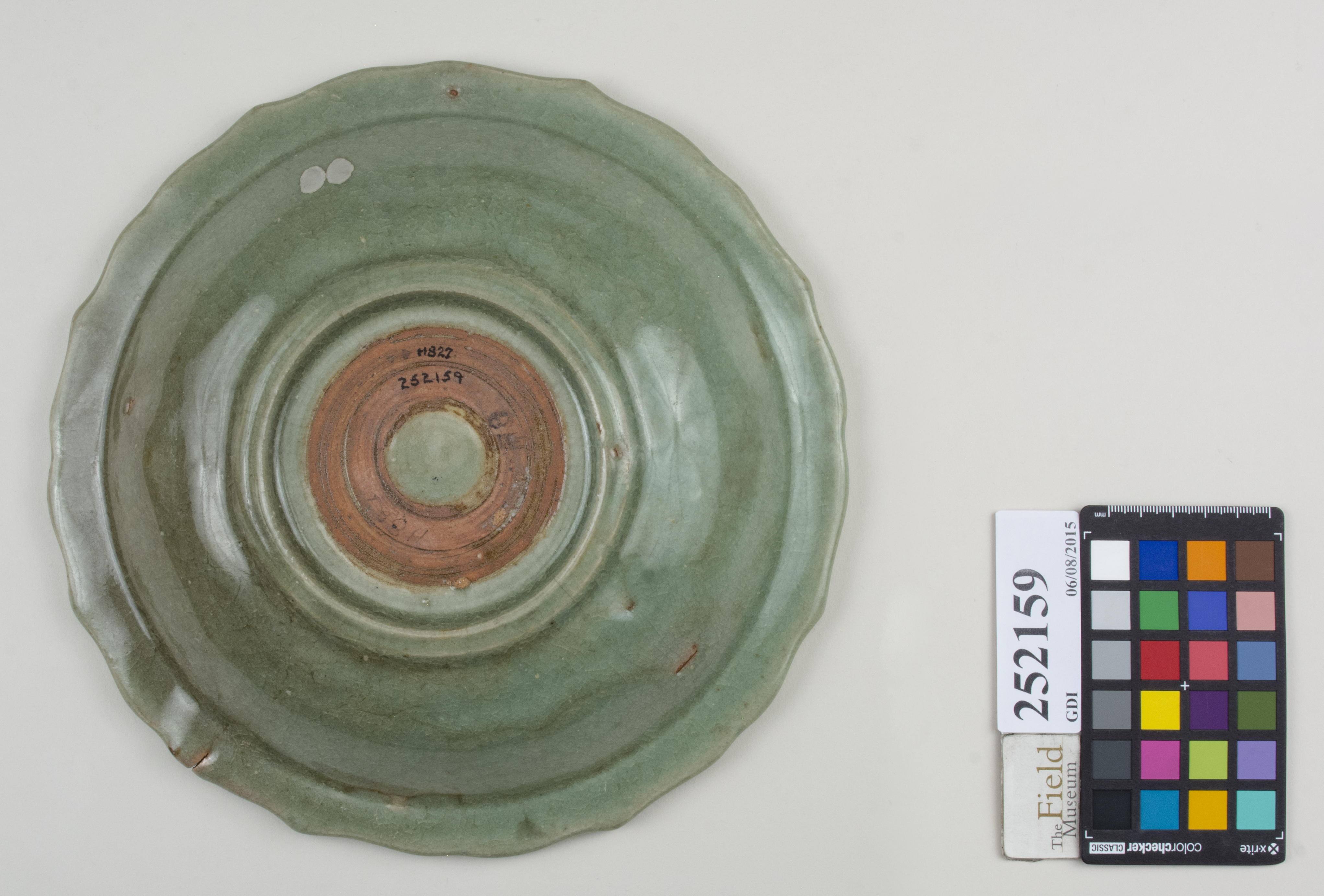 Bottom (c) Field Museum of Natural History - CC BY-NC 4.0