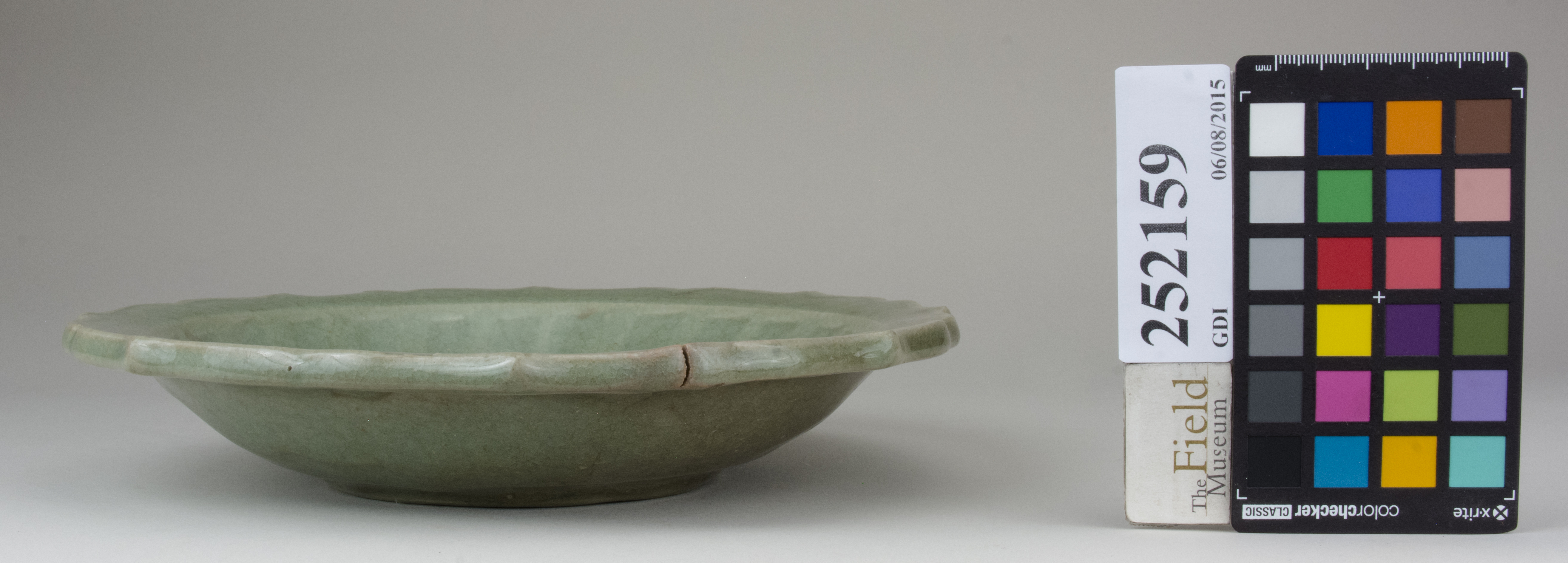 Front (c) Field Museum of Natural History - CC BY-NC 4.0