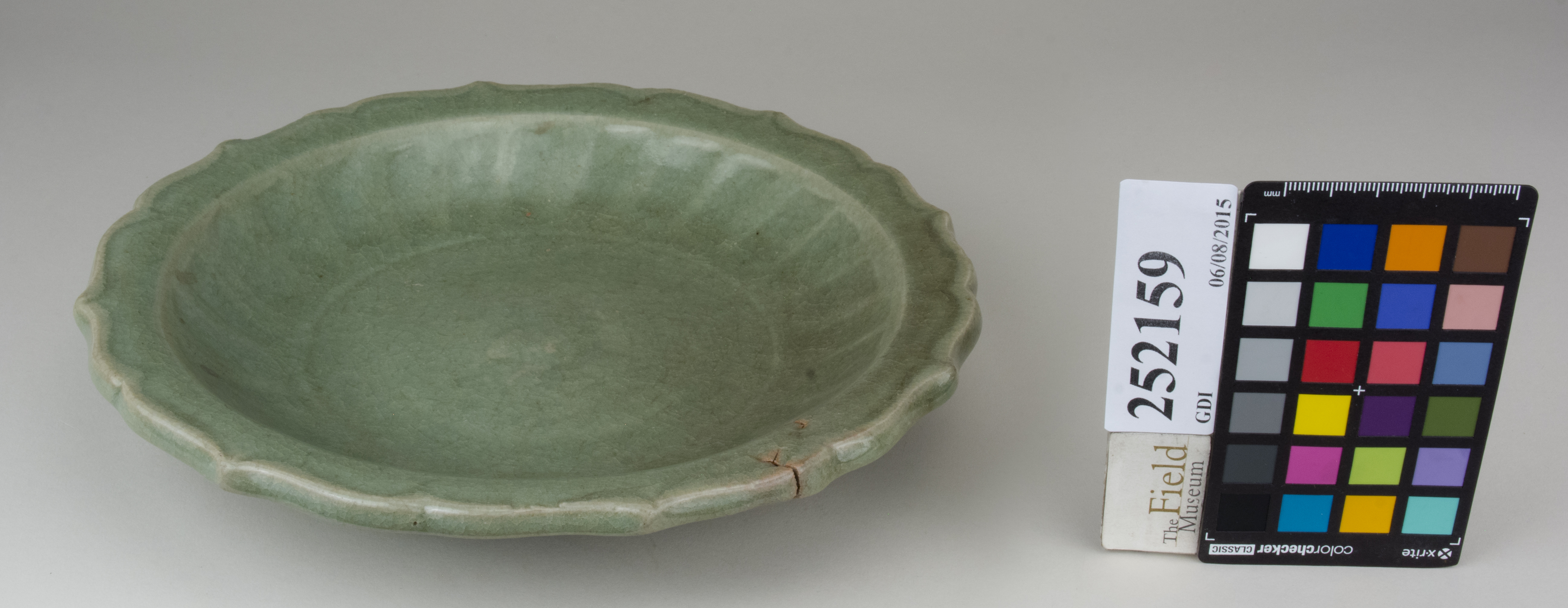 FrontAngle (c) Field Museum of Natural History - CC BY-NC 4.0