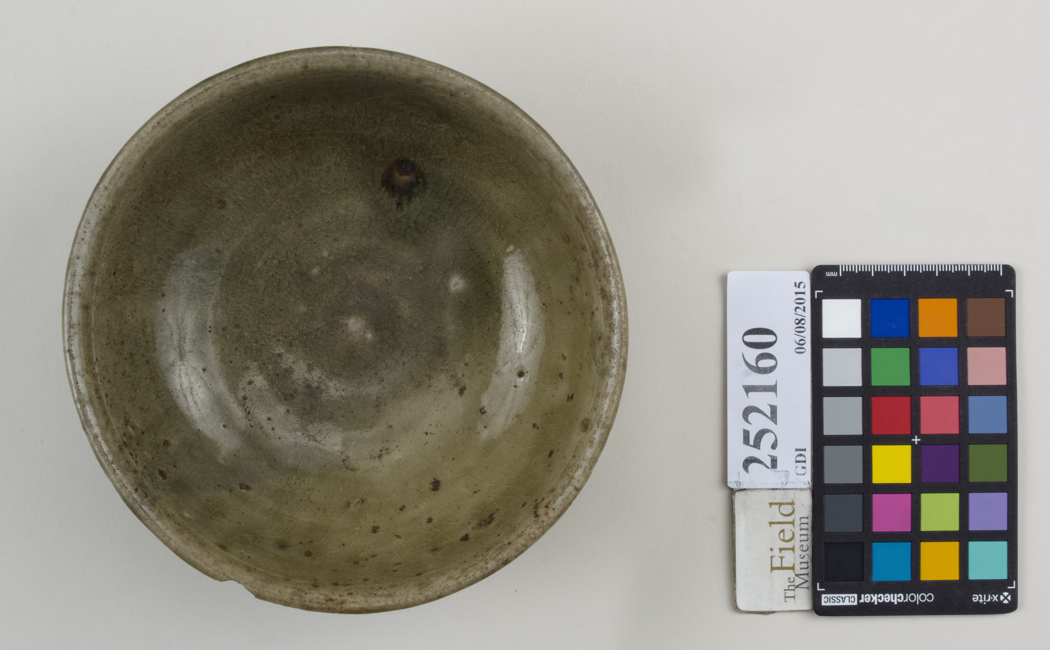 Top (c) Field Museum of Natural History - CC BY-NC 4.0