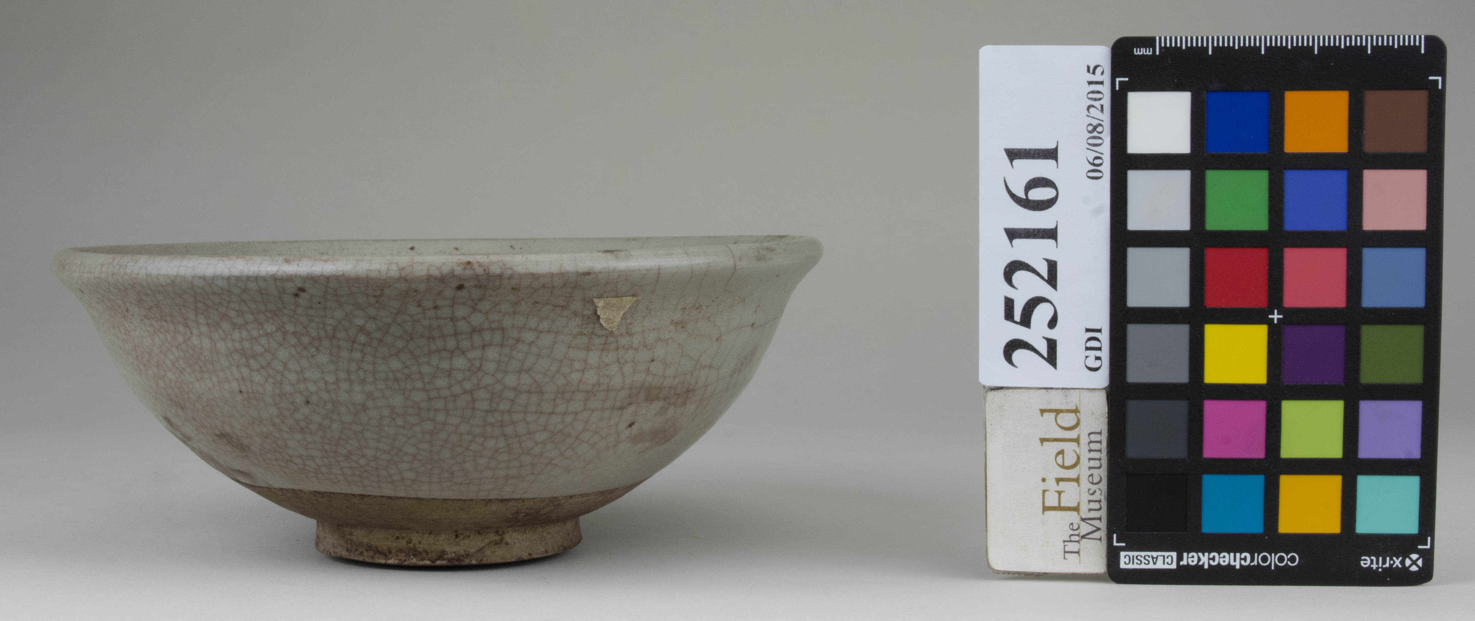 reference image, back (c) Field Museum of Natural History - CC BY-NC 4.0