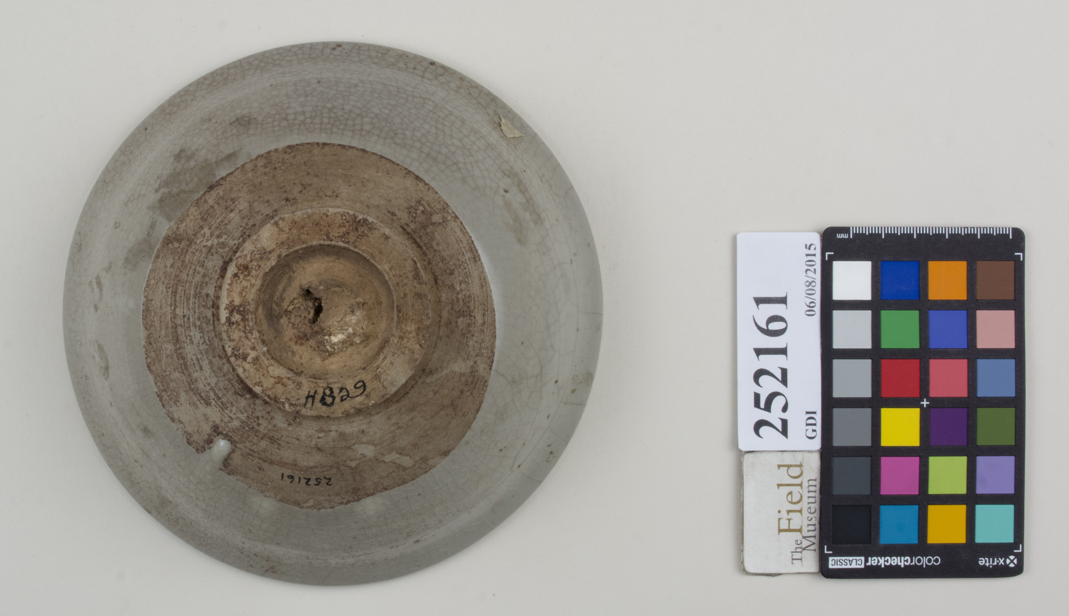 Bottom (c) Field Museum of Natural History - CC BY-NC 4.0