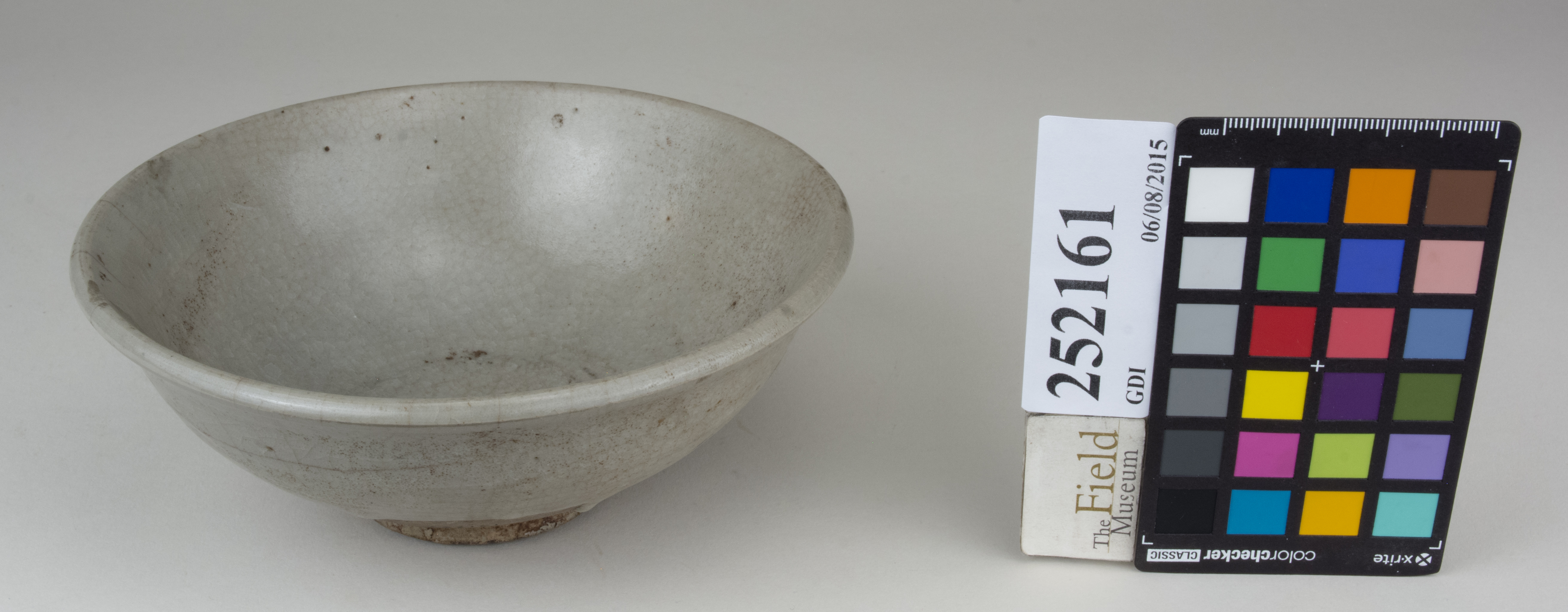 FrontAngle (c) Field Museum of Natural History - CC BY-NC 4.0