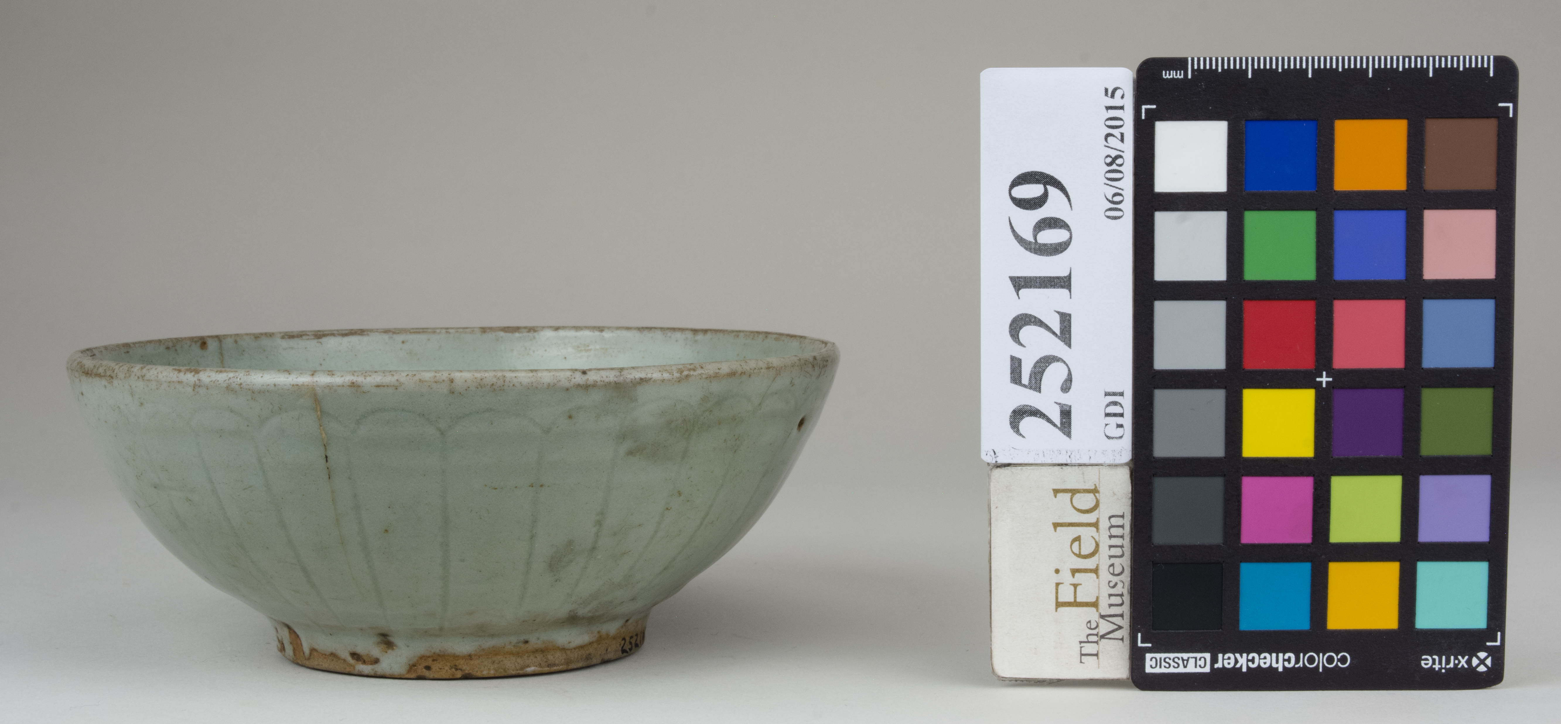 reference image, back (c) Field Museum of Natural History - CC BY-NC 4.0