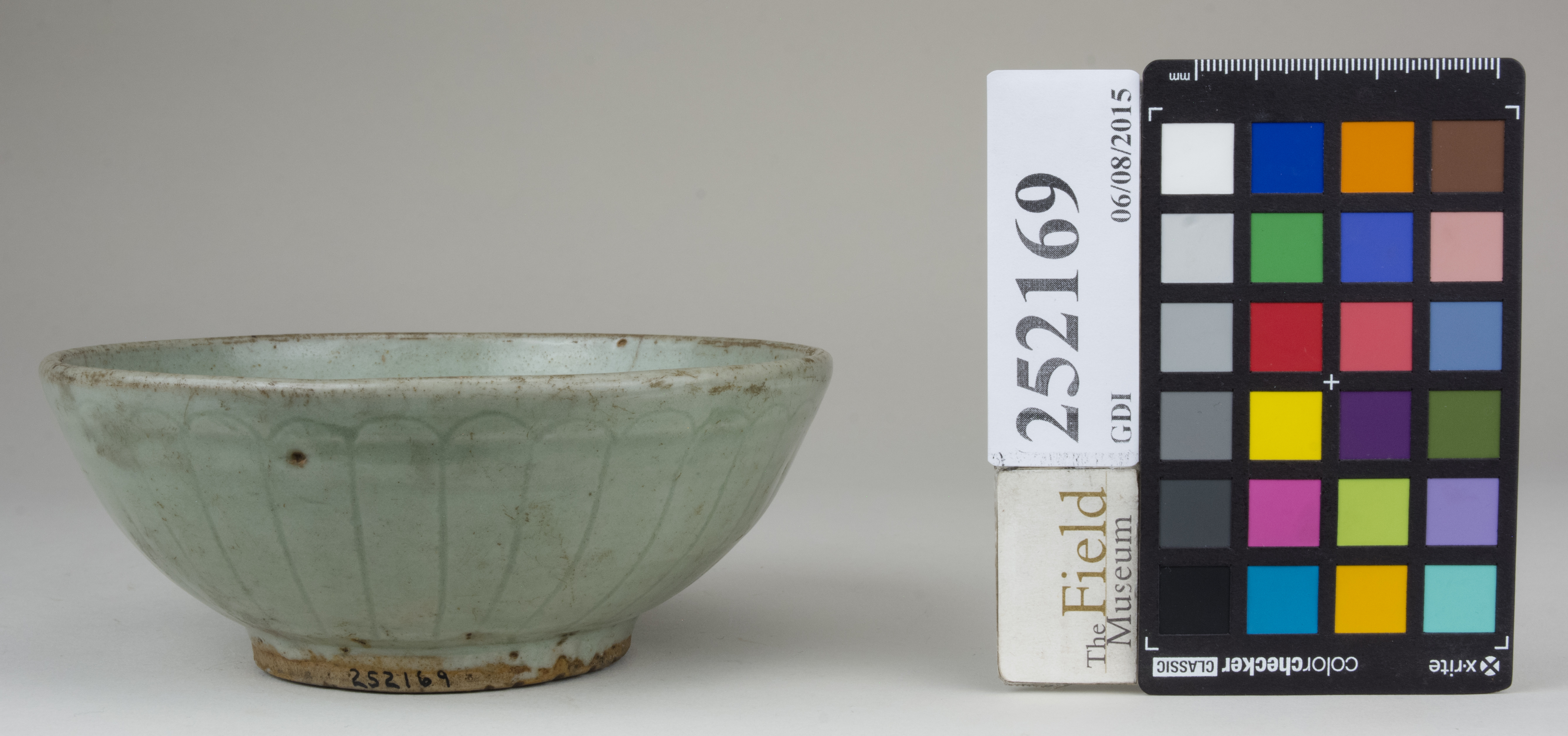 Front (c) Field Museum of Natural History - CC BY-NC 4.0