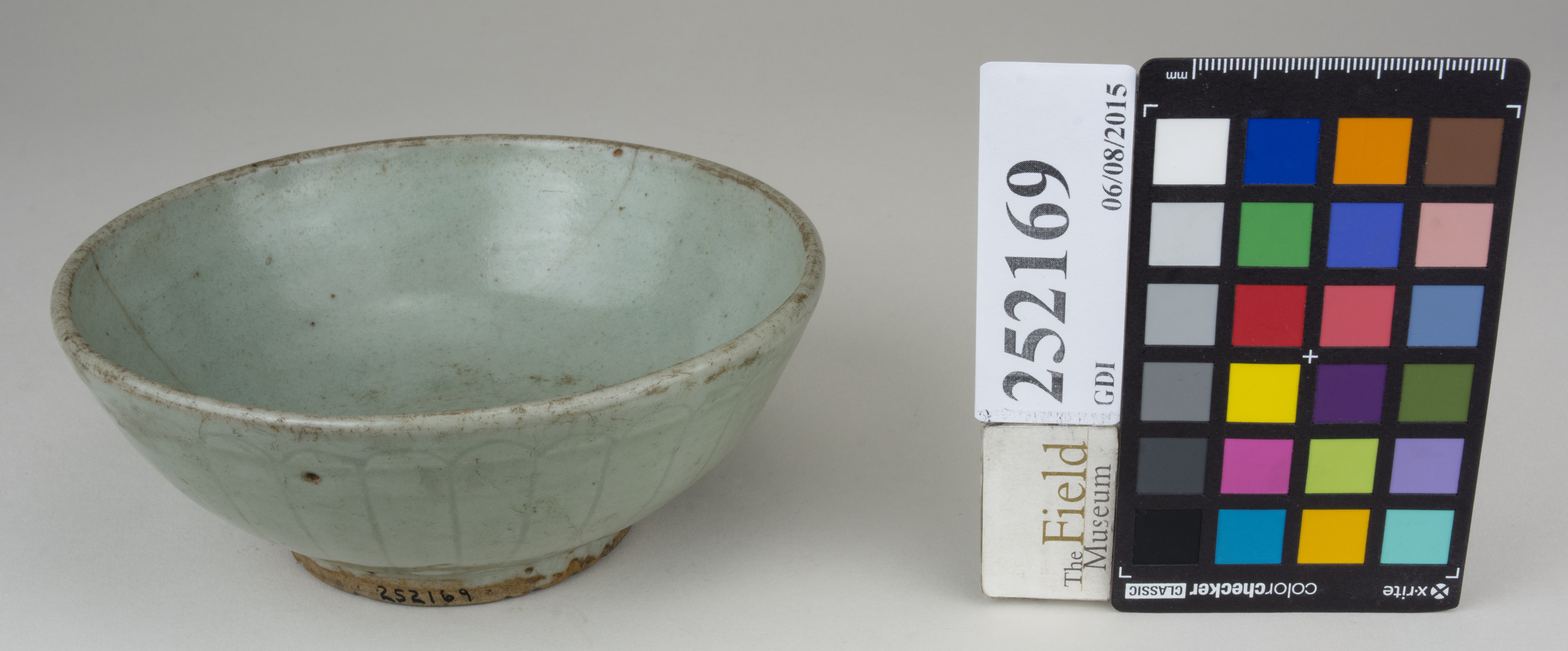 FrontAngle (c) Field Museum of Natural History - CC BY-NC 4.0