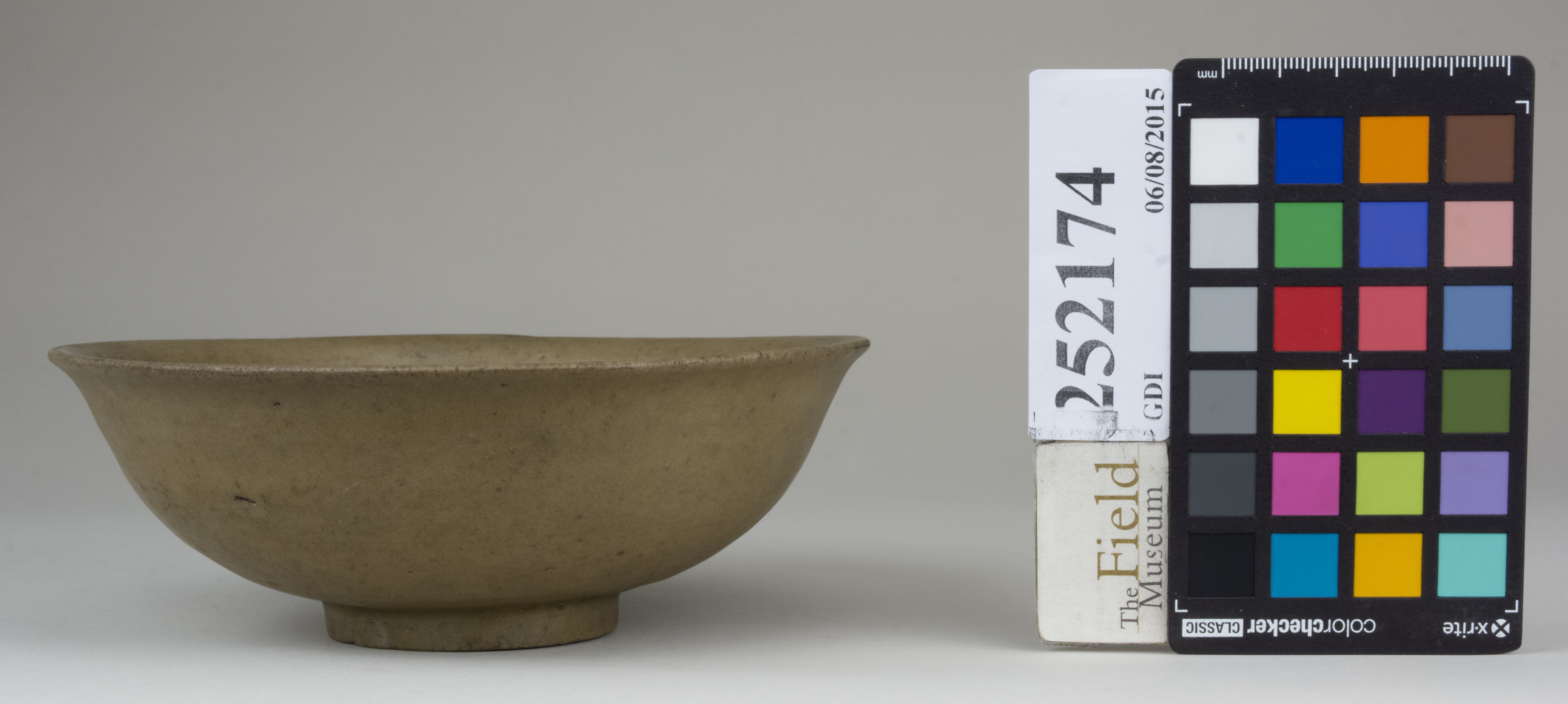 reference image, back (c) Field Museum of Natural History - CC BY-NC 4.0