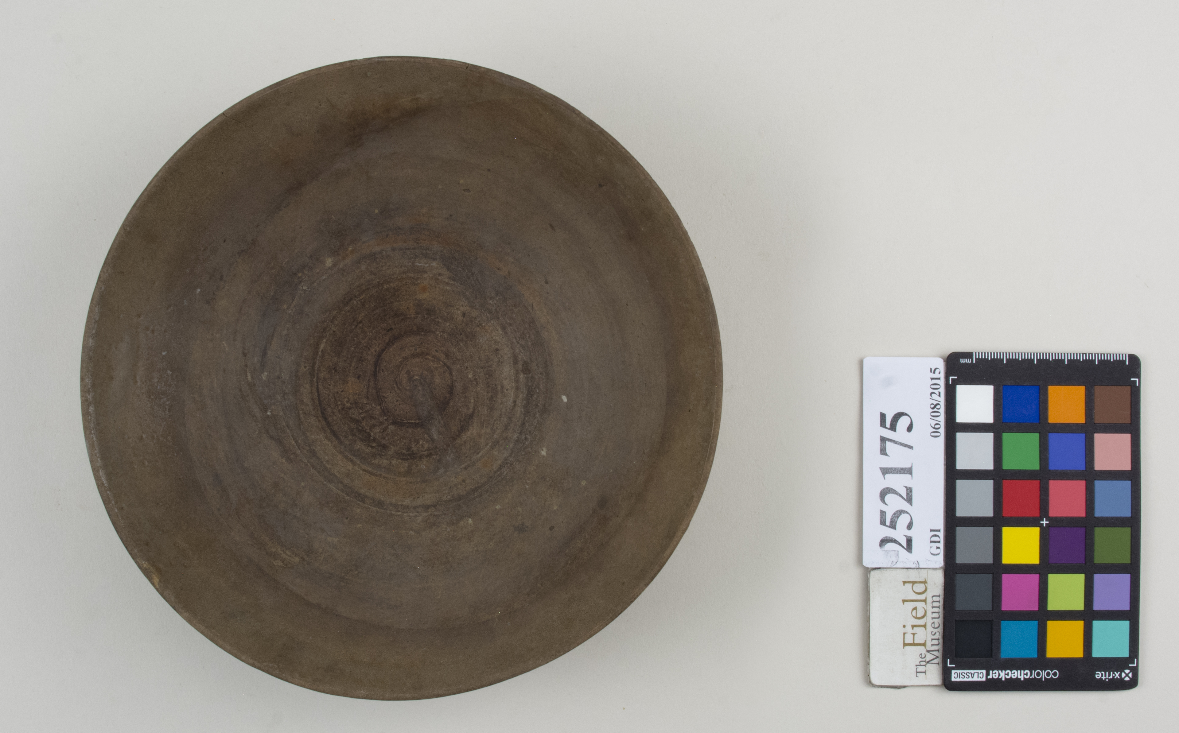 Top (c) Field Museum of Natural History - CC BY-NC 4.0