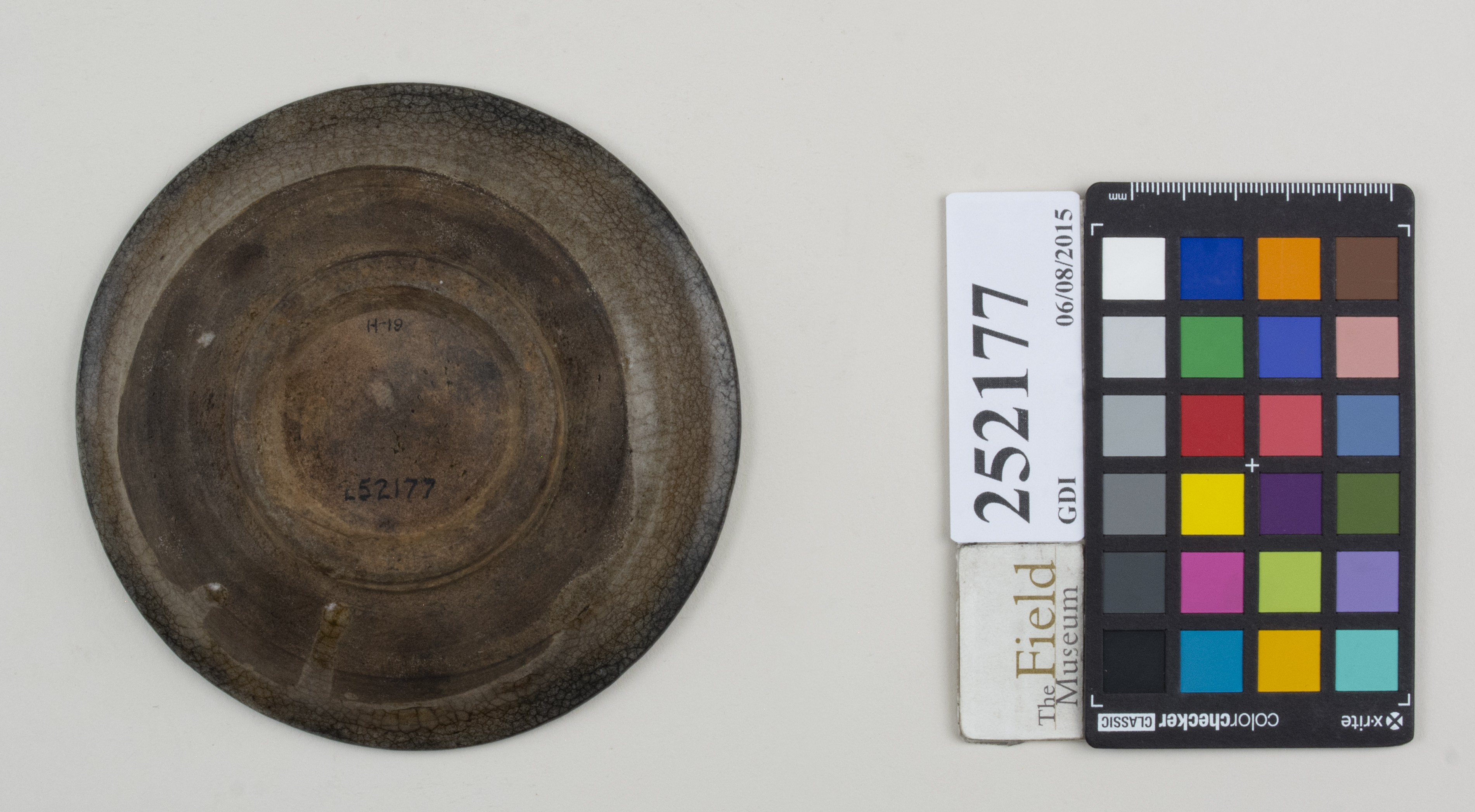 Bottom (c) Field Museum of Natural History - CC BY-NC 4.0