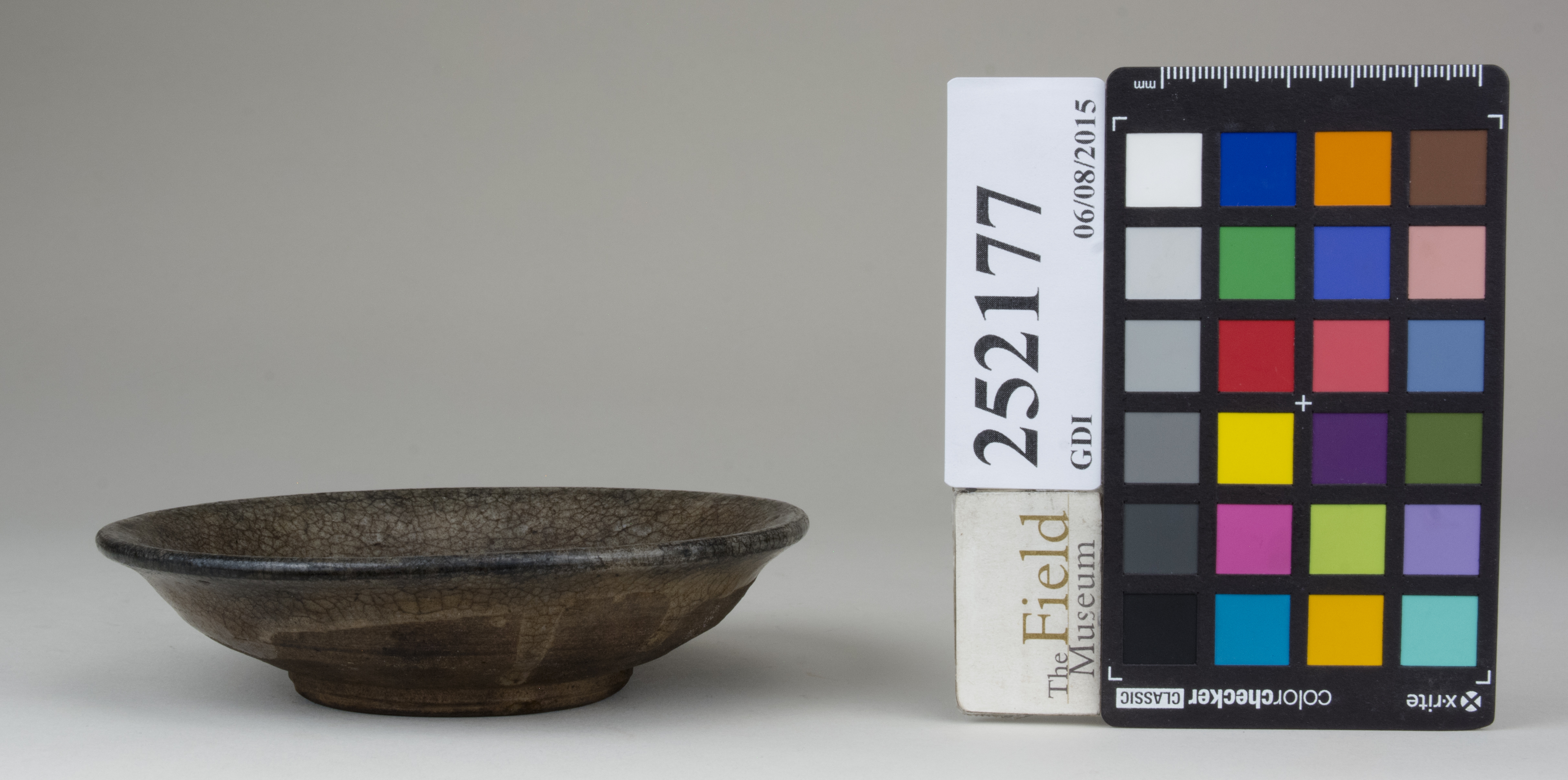 Front (c) Field Museum of Natural History - CC BY-NC 4.0