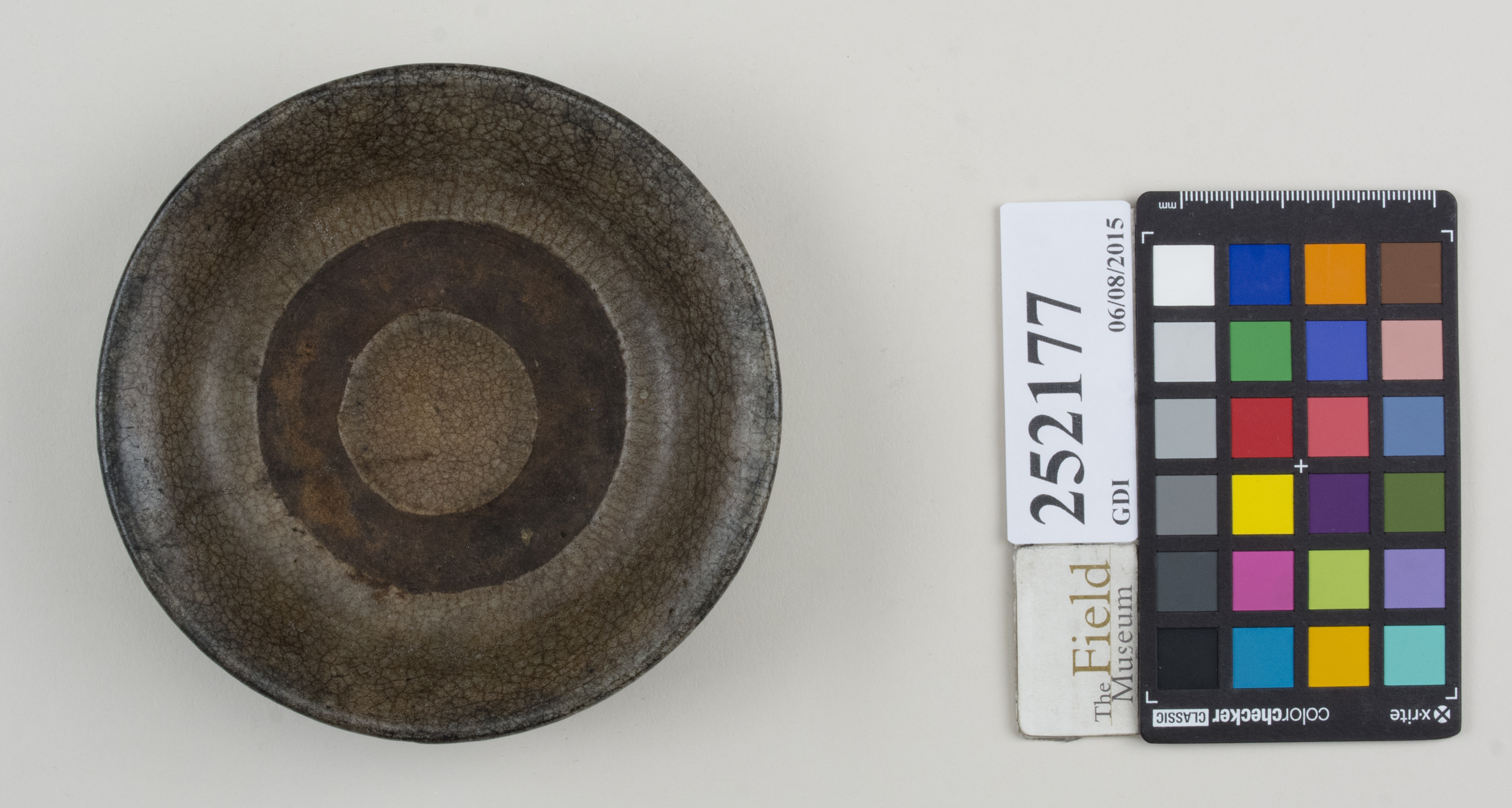 Top (c) Field Museum of Natural History - CC BY-NC 4.0