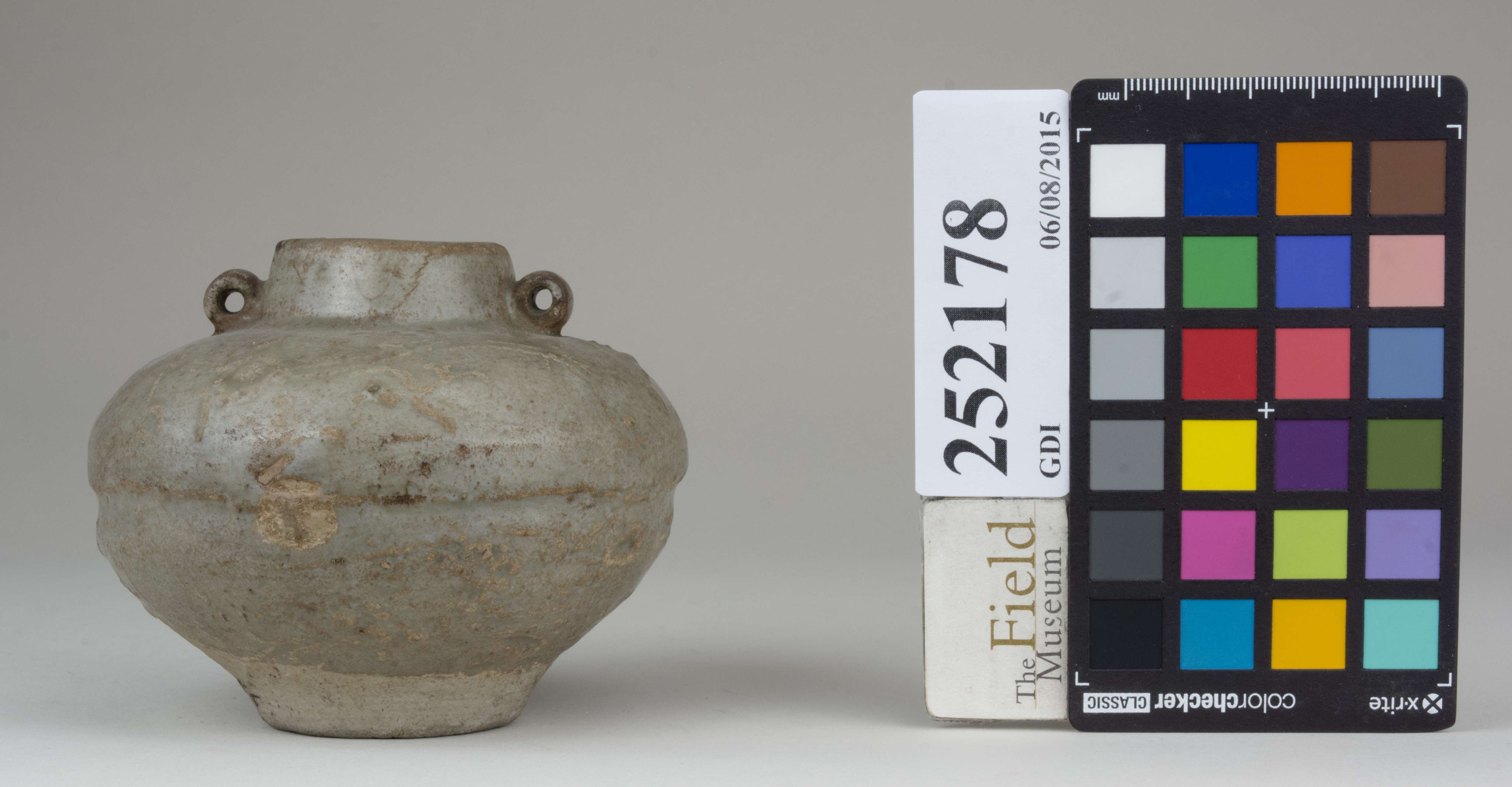 Front (c) Field Museum of Natural History - CC BY-NC 4.0