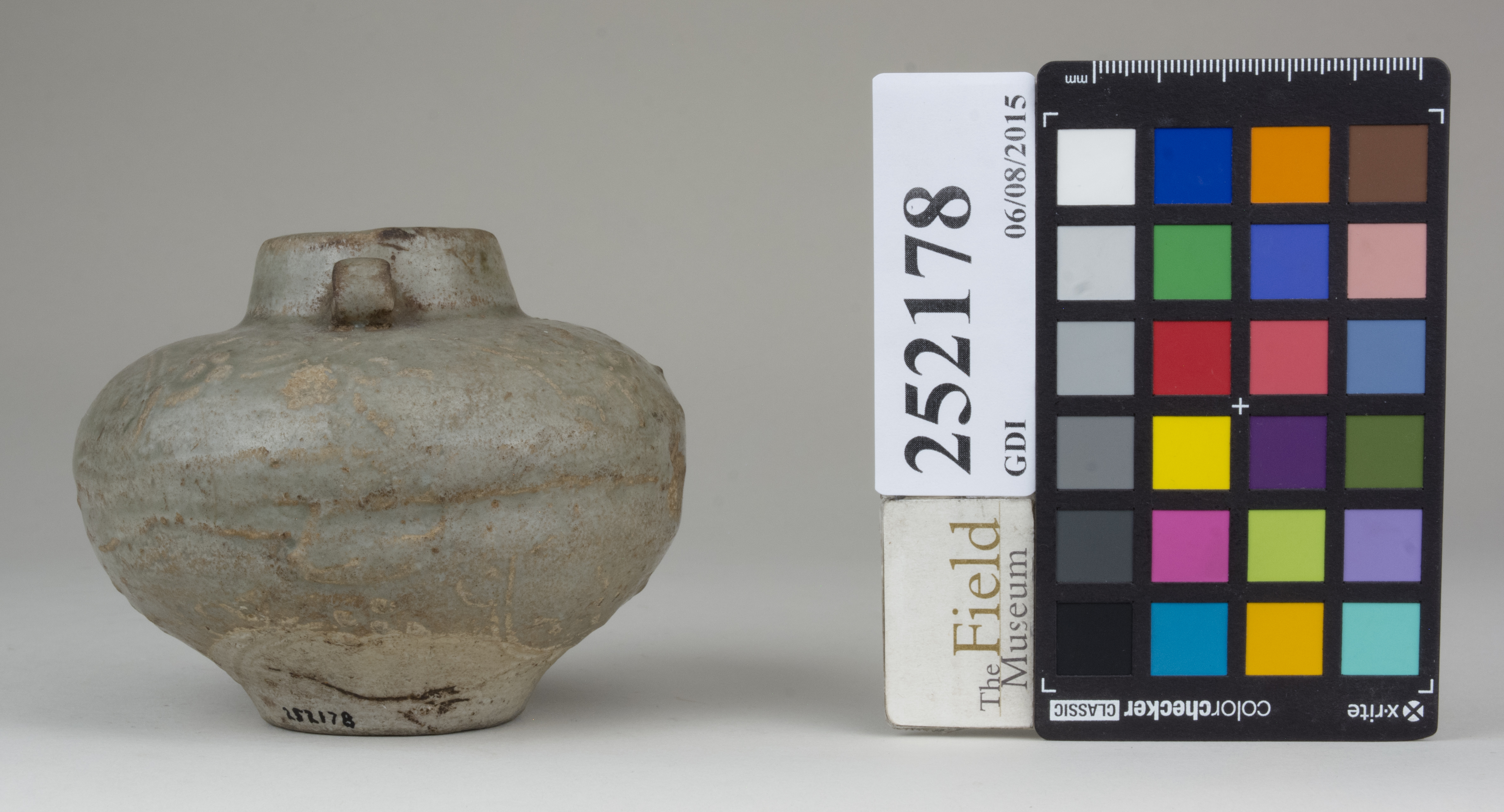 Right (c) Field Museum of Natural History - CC BY-NC 4.0