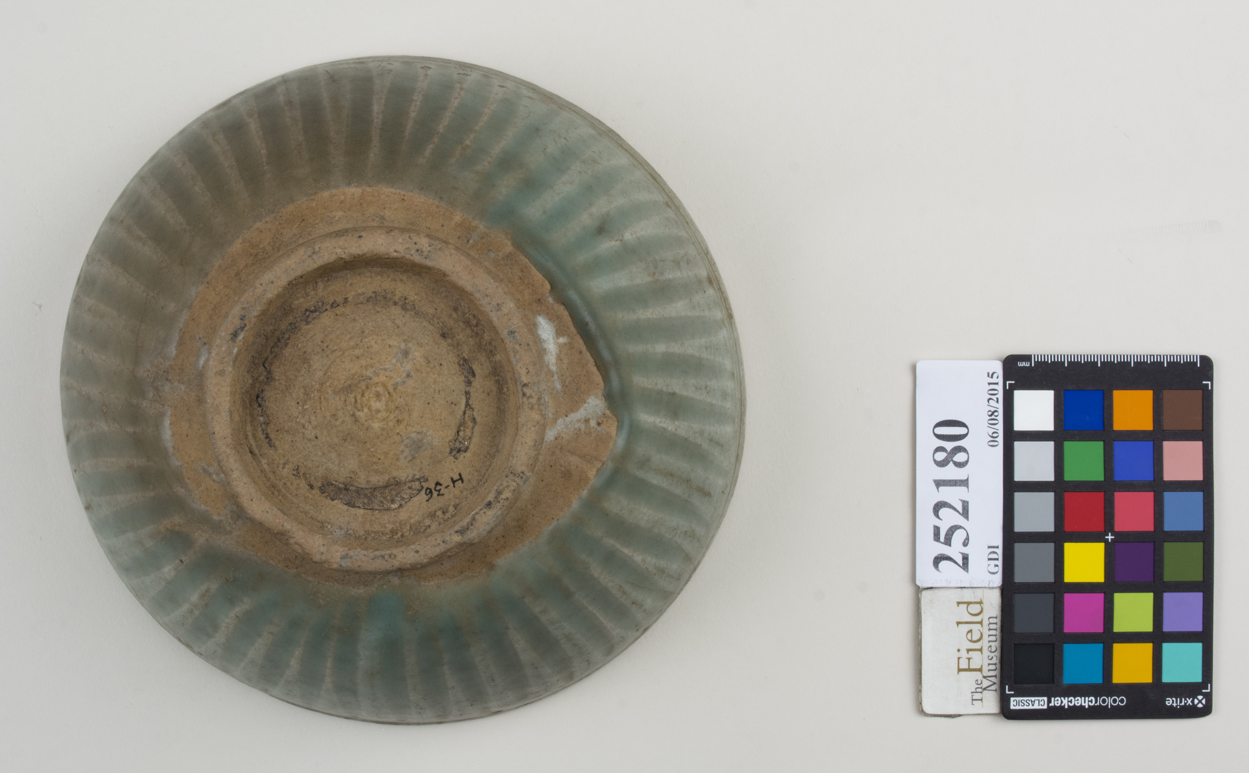 Bottom (c) Field Museum of Natural History - CC BY-NC 4.0