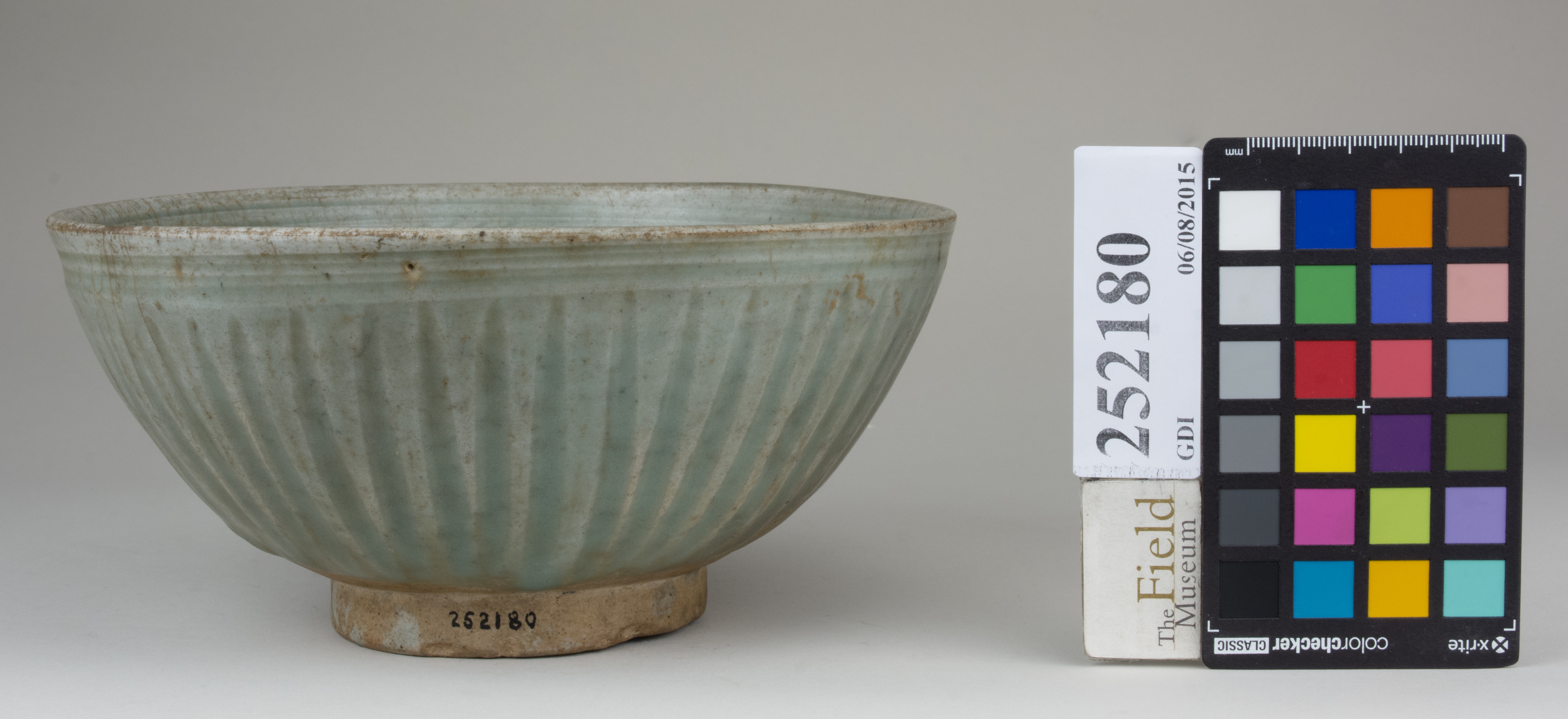 Front (c) Field Museum of Natural History - CC BY-NC 4.0