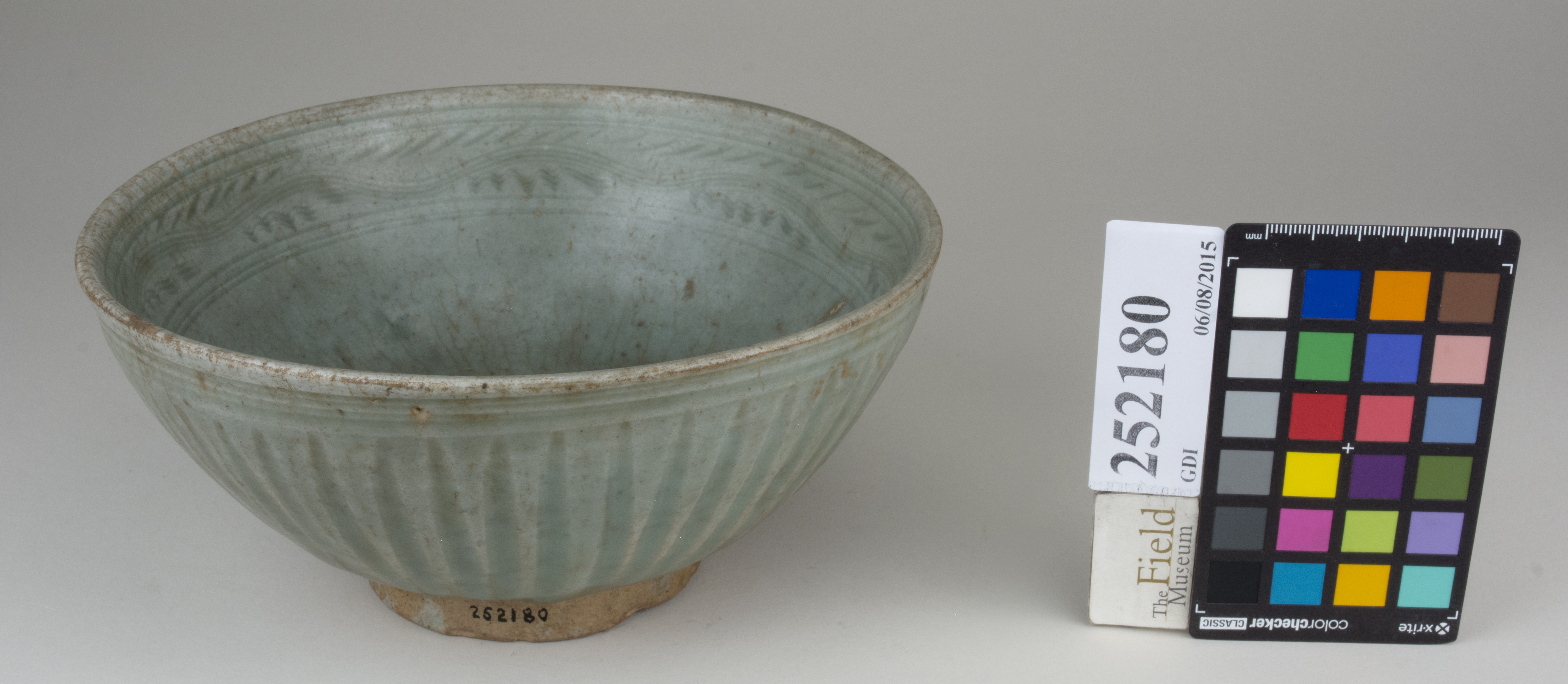 FrontAngle (c) Field Museum of Natural History - CC BY-NC 4.0