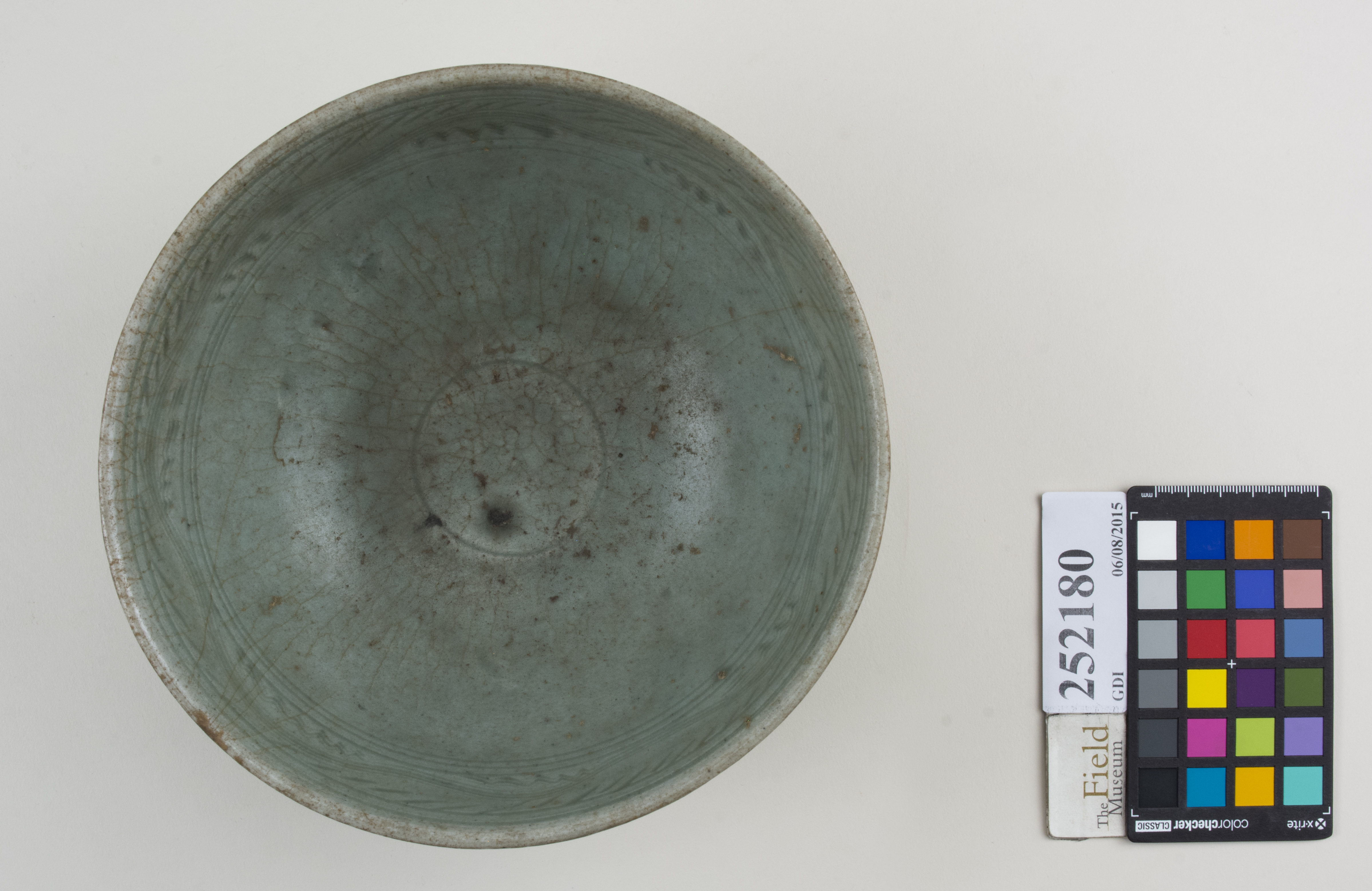 Top (c) Field Museum of Natural History - CC BY-NC 4.0