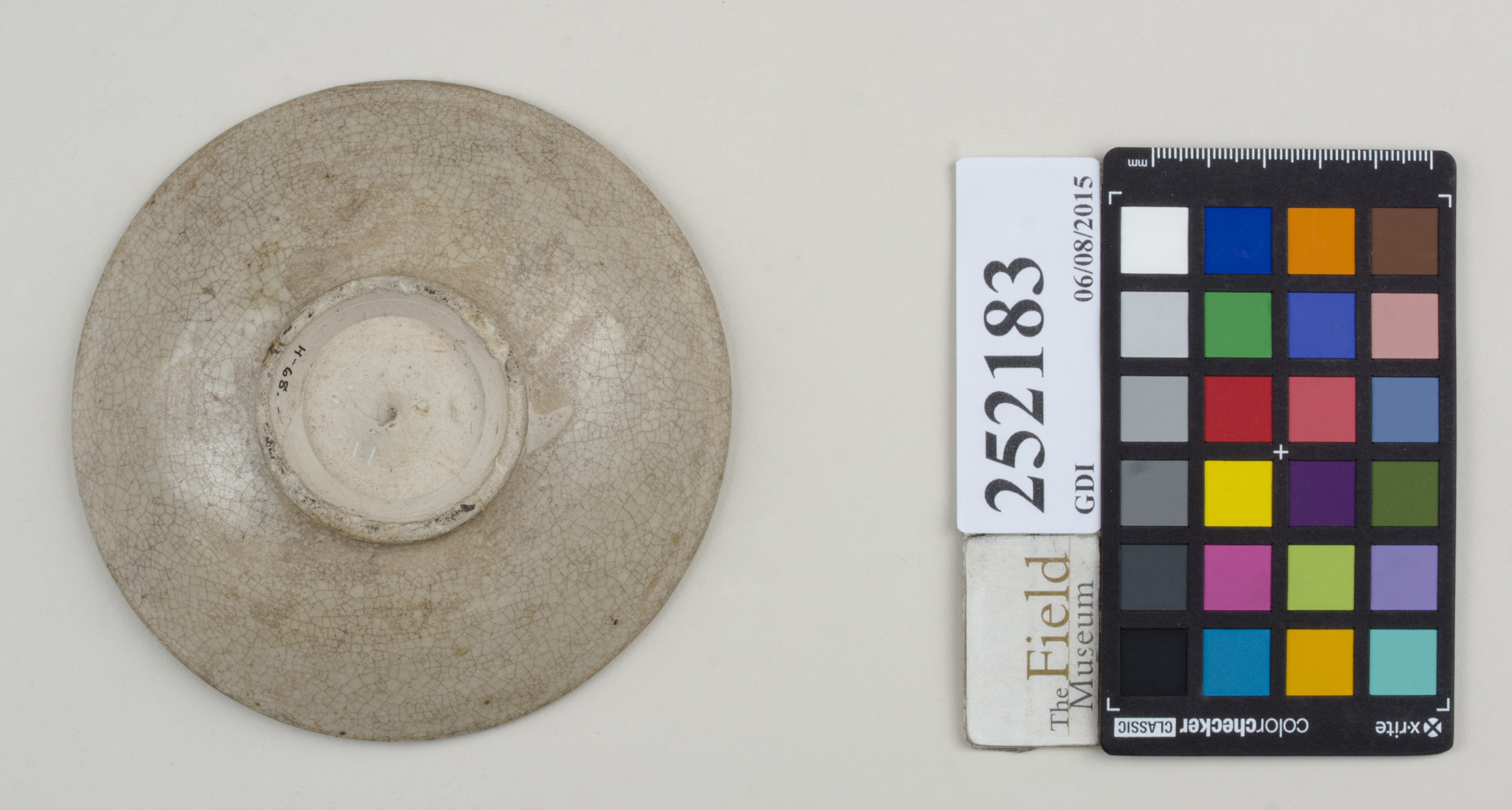 Bottom (c) Field Museum of Natural History - CC BY-NC 4.0