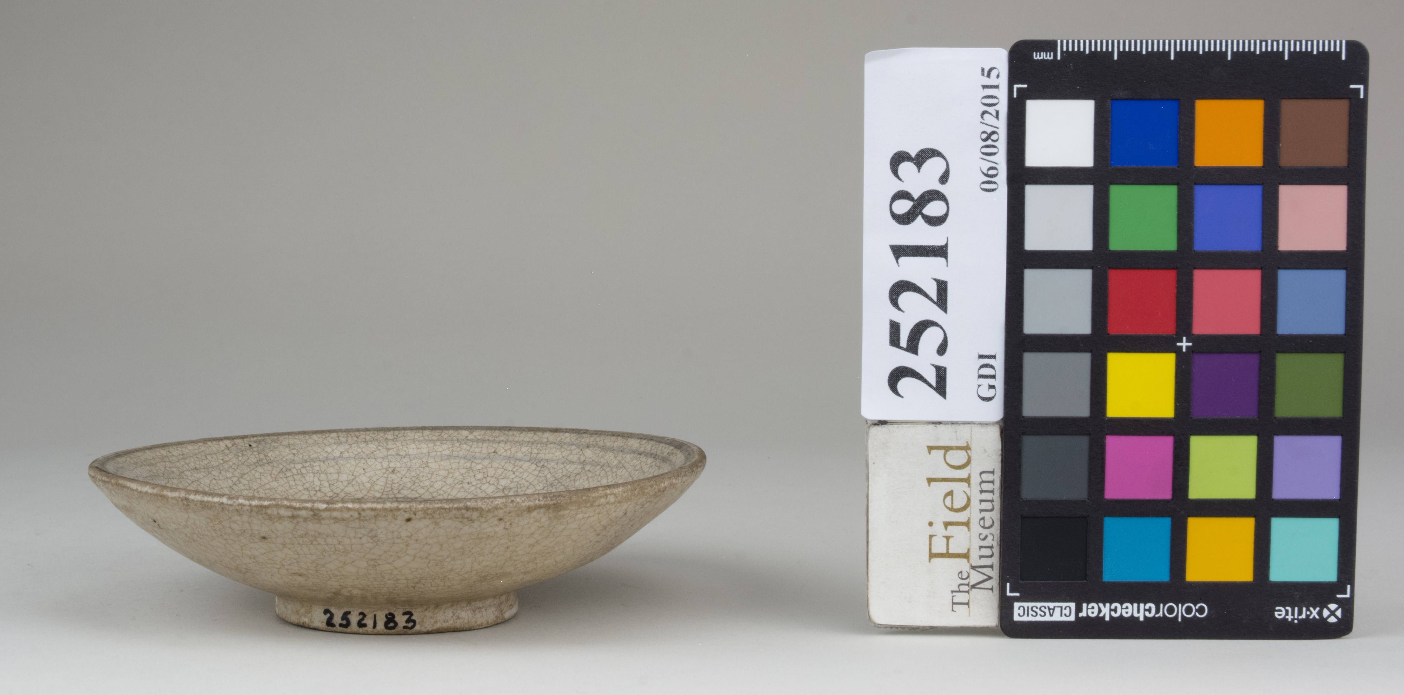 Front (c) Field Museum of Natural History - CC BY-NC 4.0