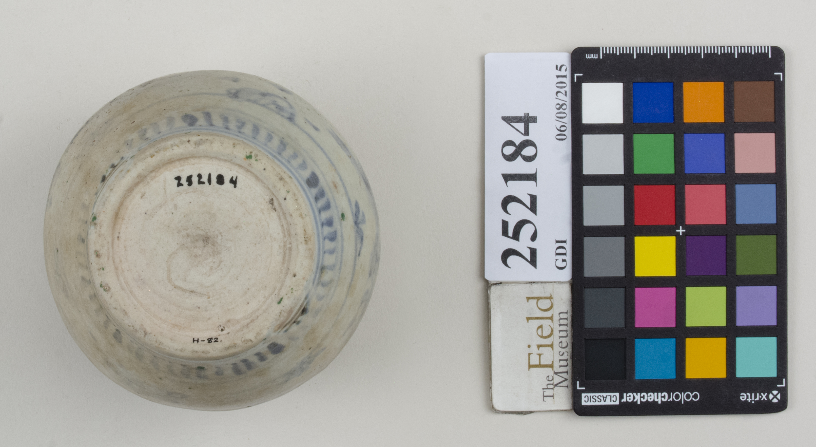 Bottom (c) Field Museum of Natural History - CC BY-NC 4.0