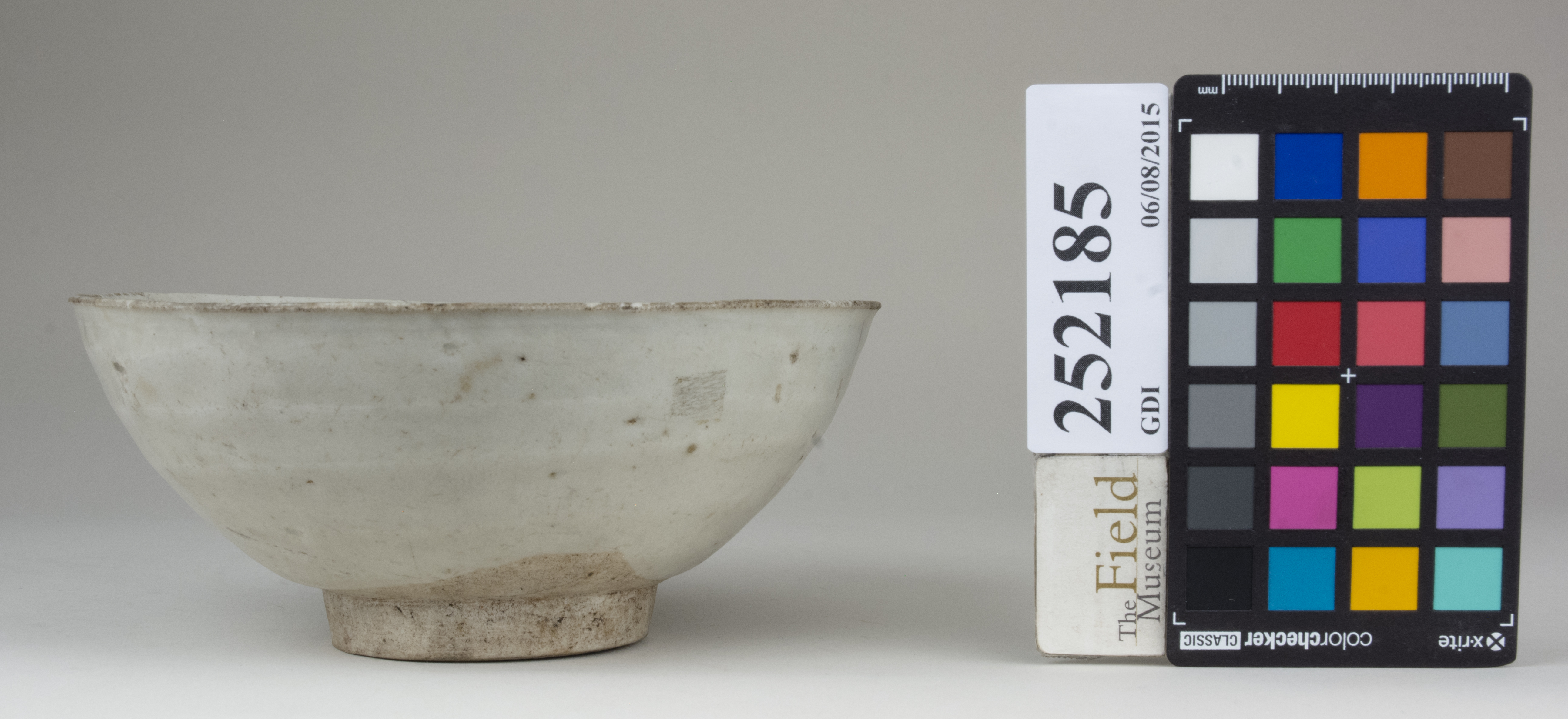 reference image, back (c) Field Museum of Natural History - CC BY-NC 4.0