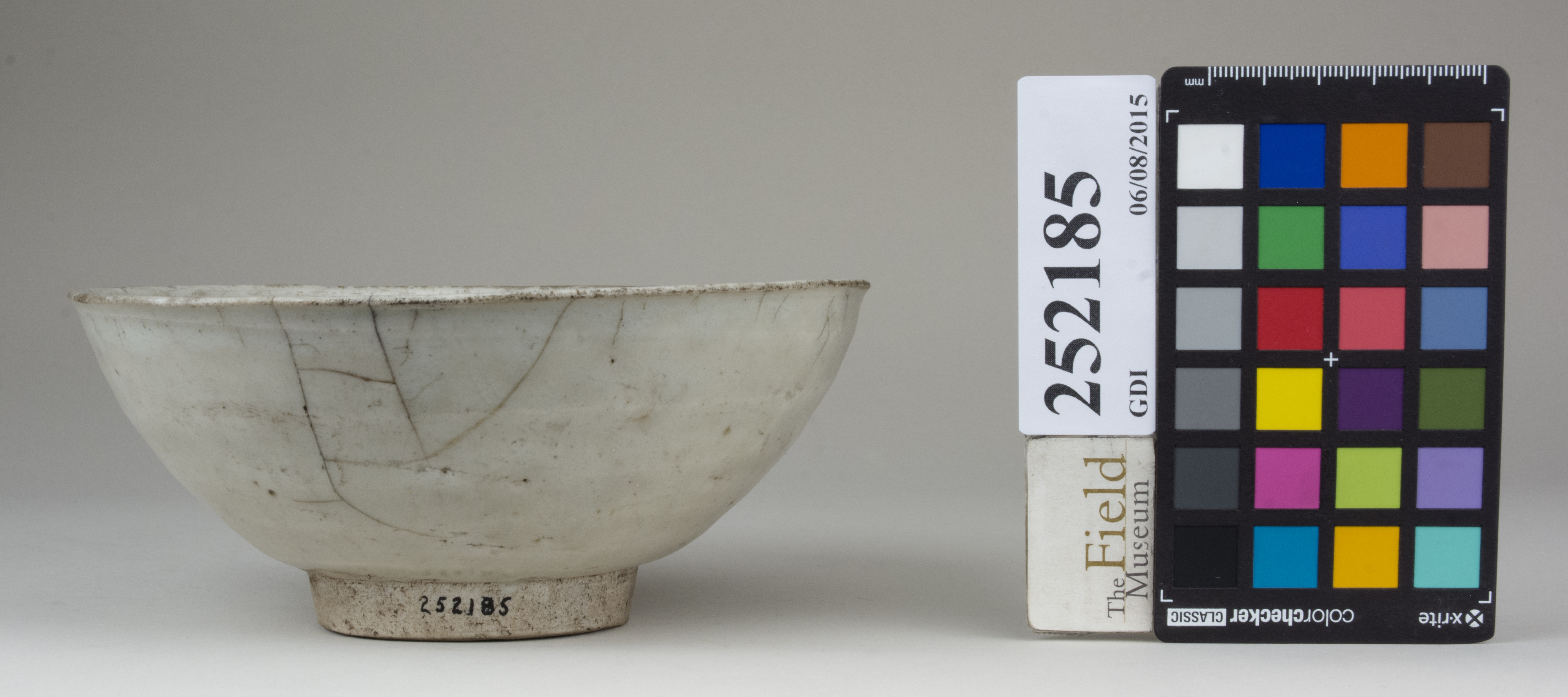 Front (c) Field Museum of Natural History - CC BY-NC 4.0