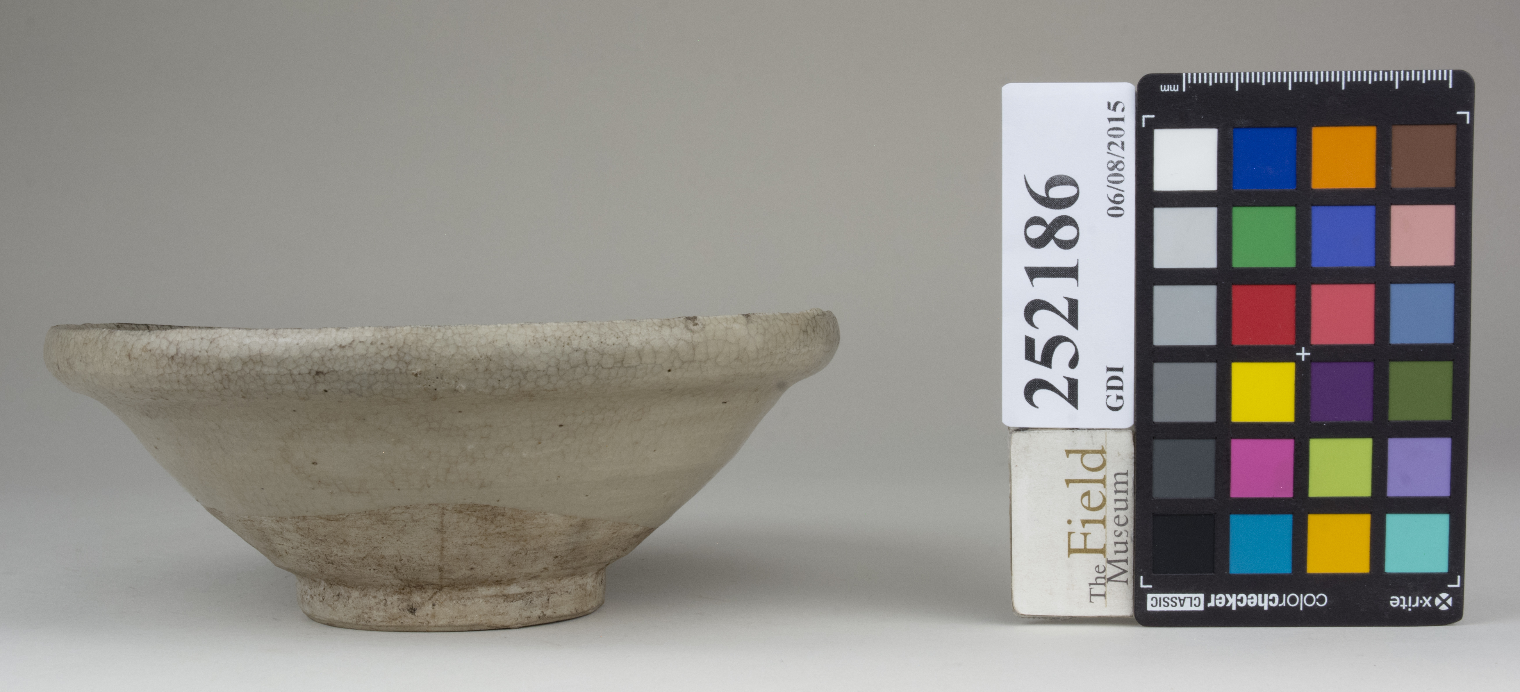 reference image, back (c) Field Museum of Natural History - CC BY-NC 4.0