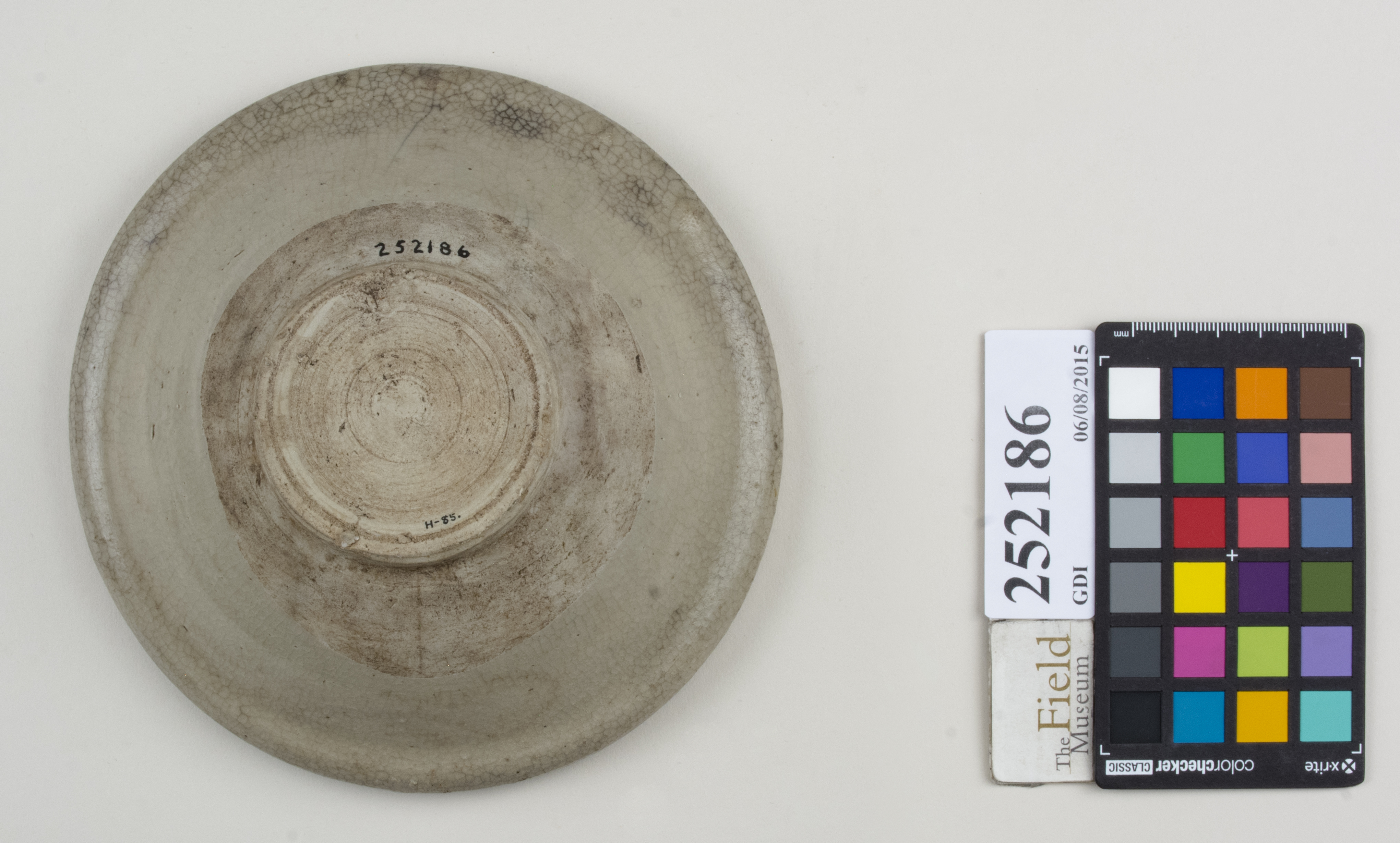 Bottom (c) Field Museum of Natural History - CC BY-NC 4.0