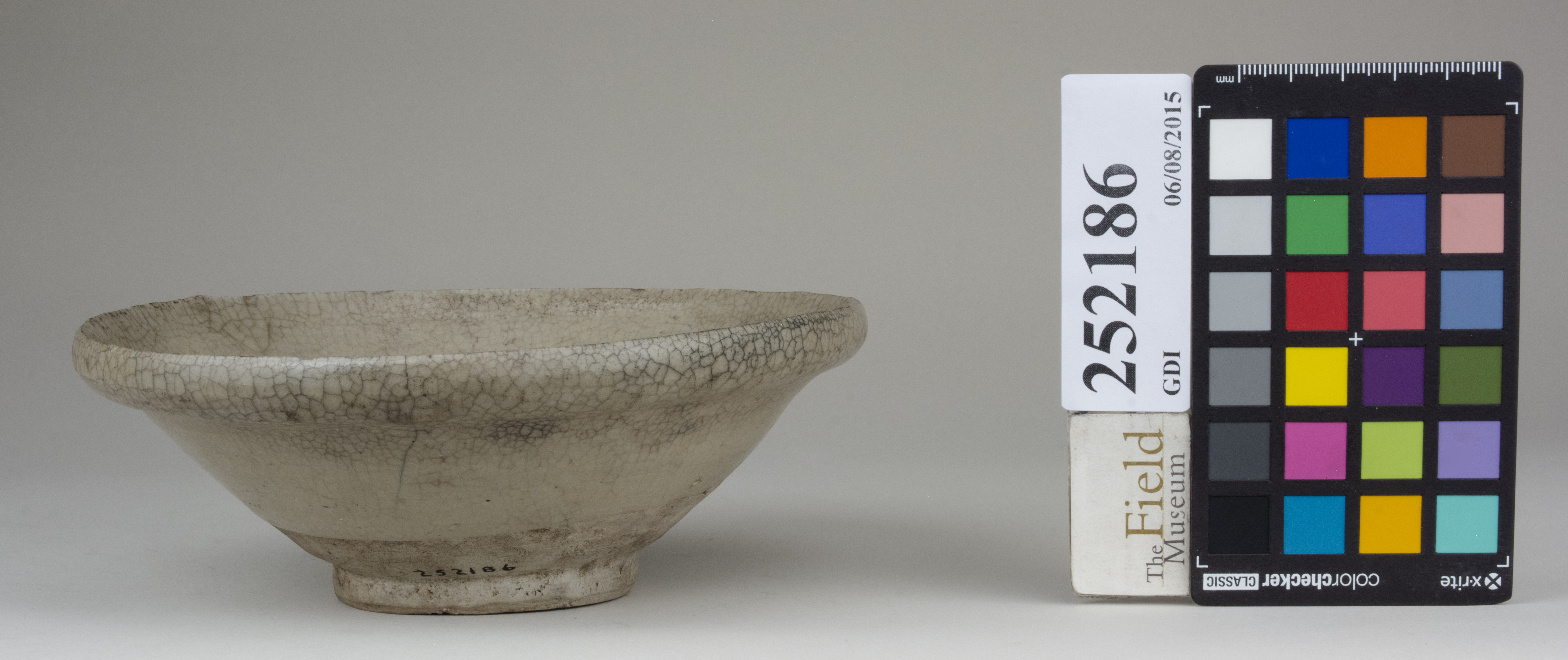 Front (c) Field Museum of Natural History - CC BY-NC 4.0