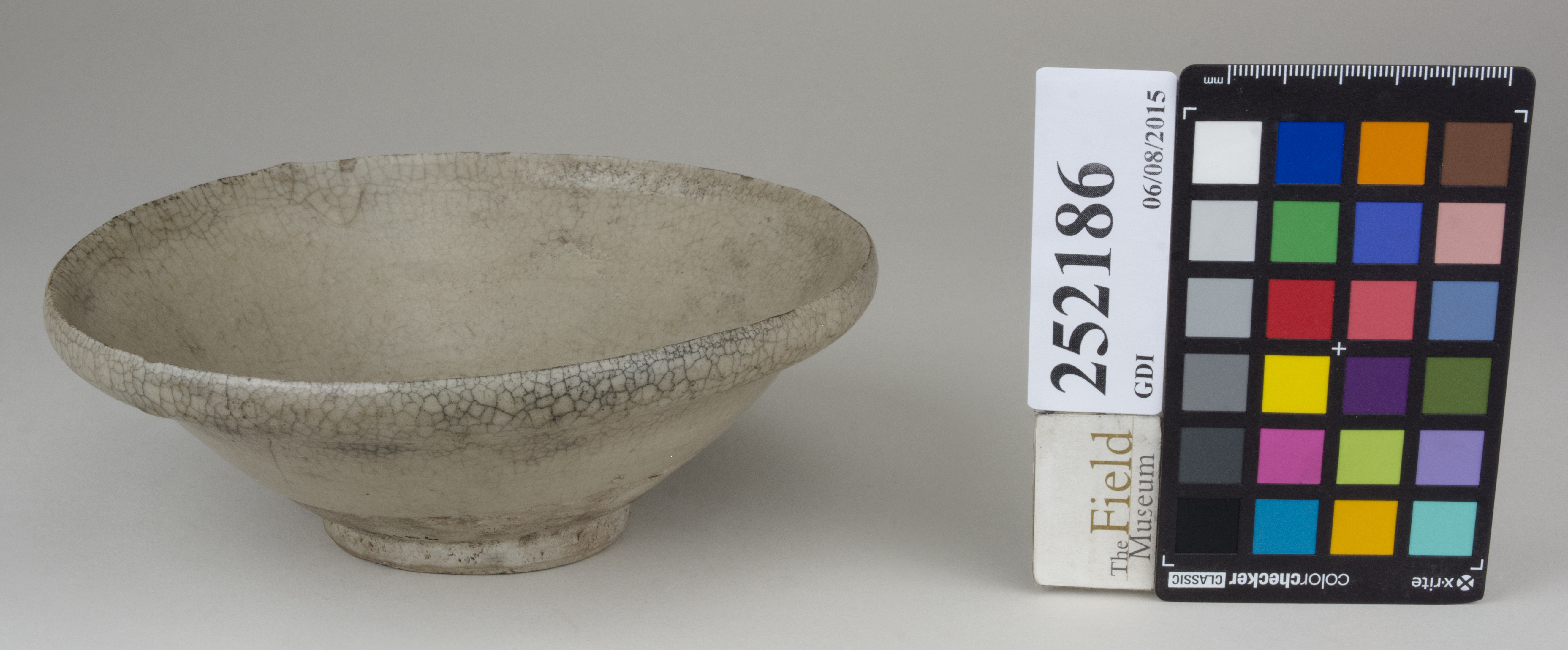 FrontAngle (c) Field Museum of Natural History - CC BY-NC 4.0