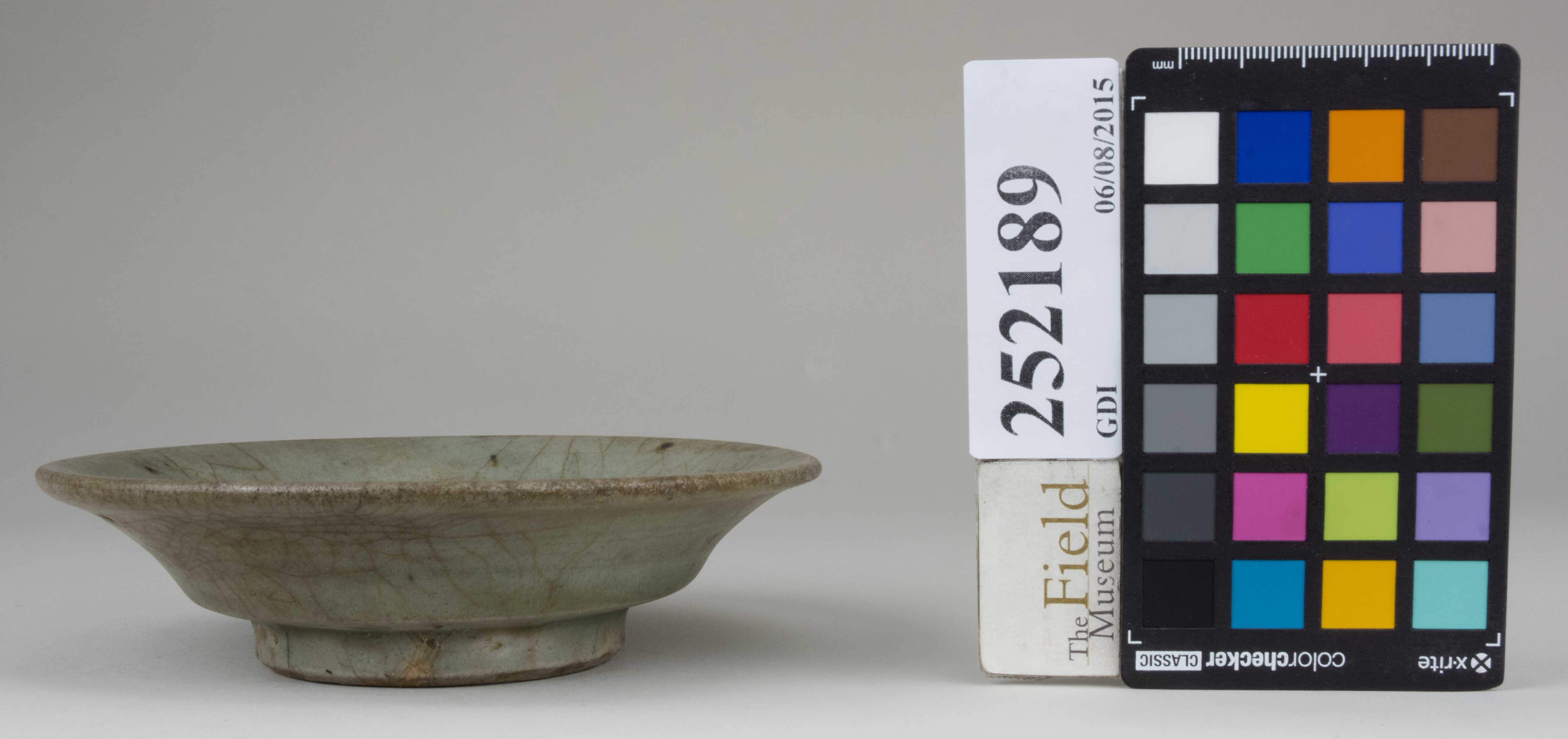 reference image, back (c) Field Museum of Natural History - CC BY-NC 4.0