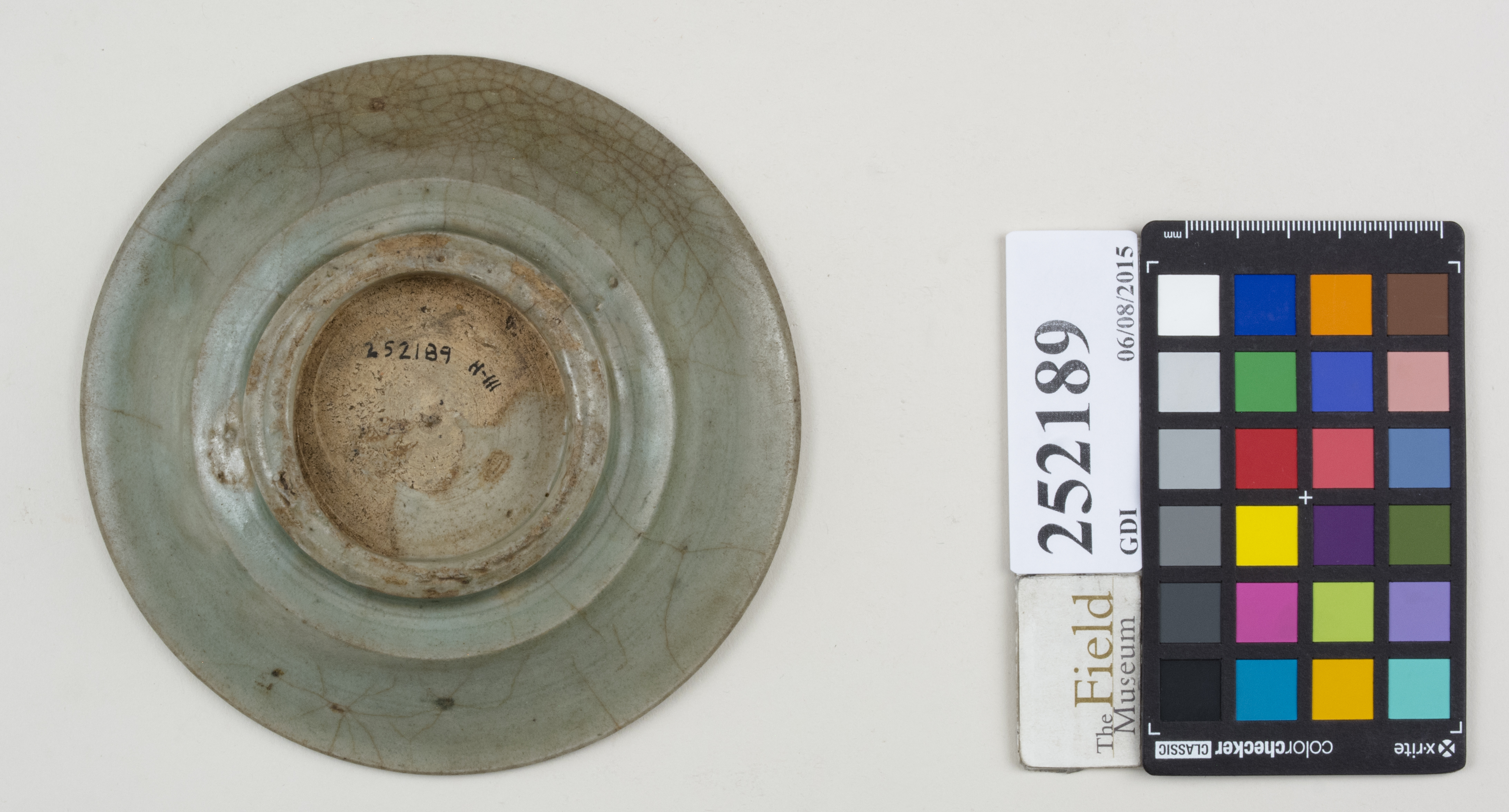 Bottom (c) Field Museum of Natural History - CC BY-NC 4.0