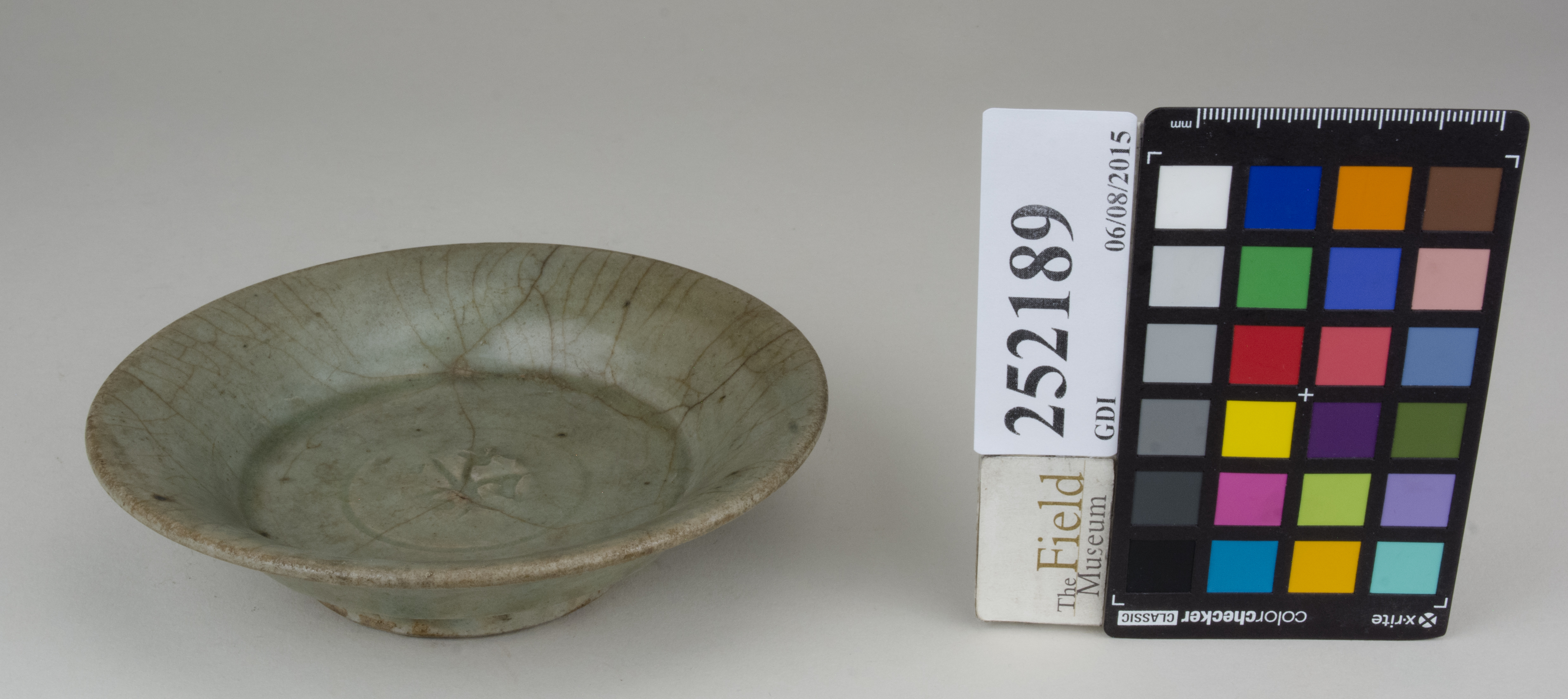 FrontAngle (c) Field Museum of Natural History - CC BY-NC 4.0