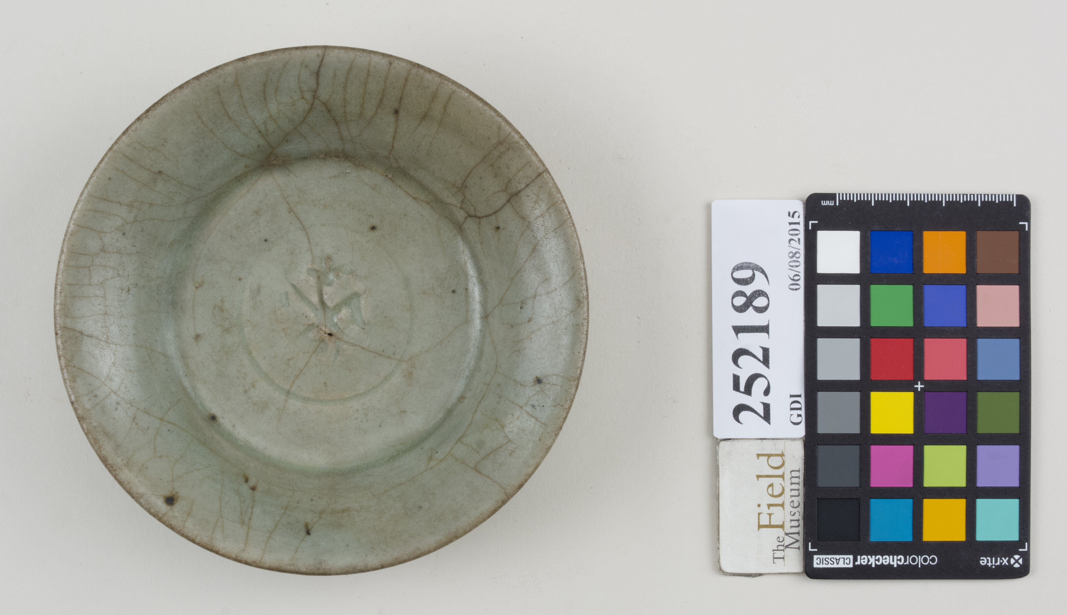 Top (c) Field Museum of Natural History - CC BY-NC 4.0